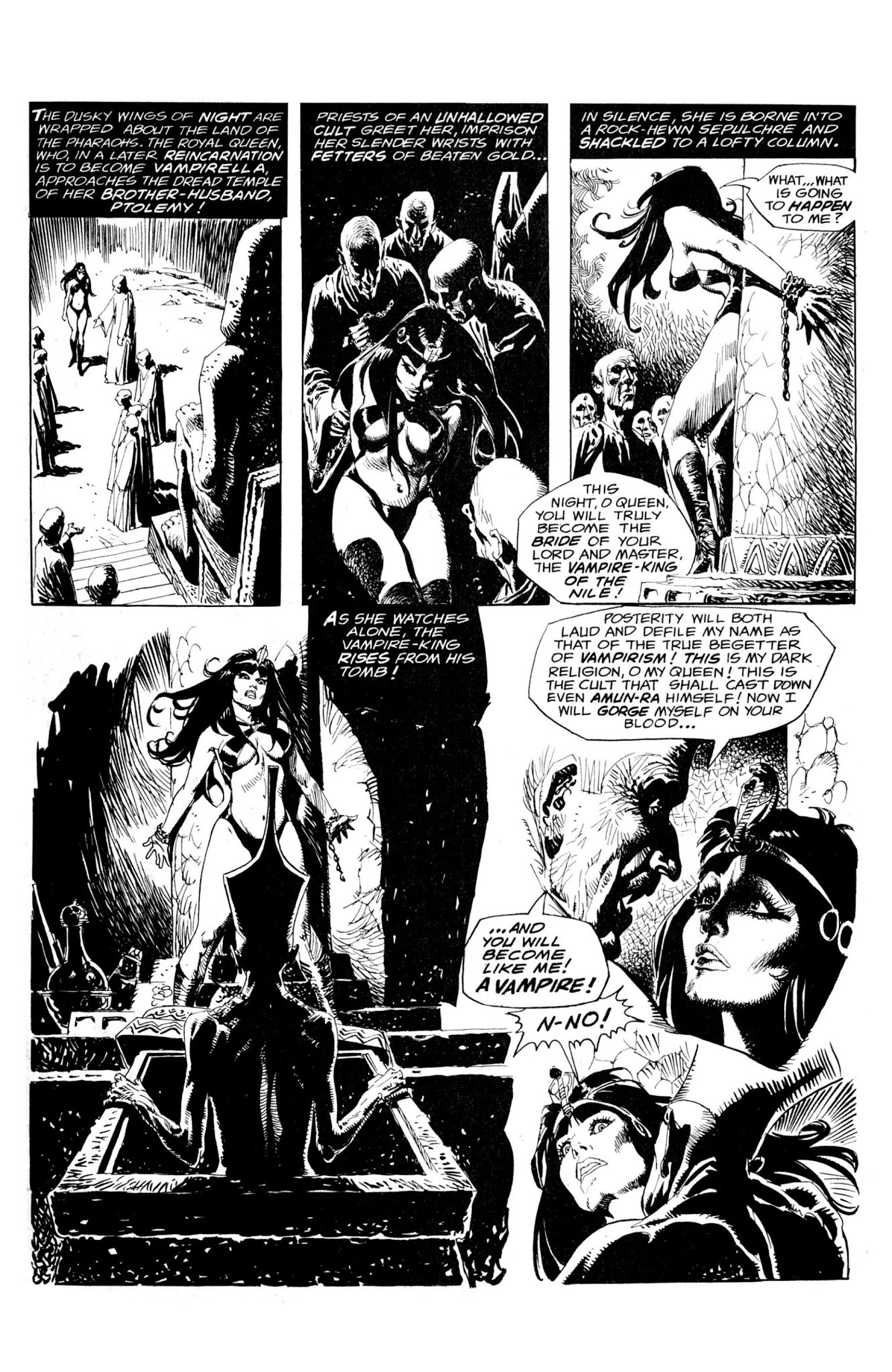 Read online Vampirella: The Essential Warren Years comic -  Issue # TPB (Part 5) - 31