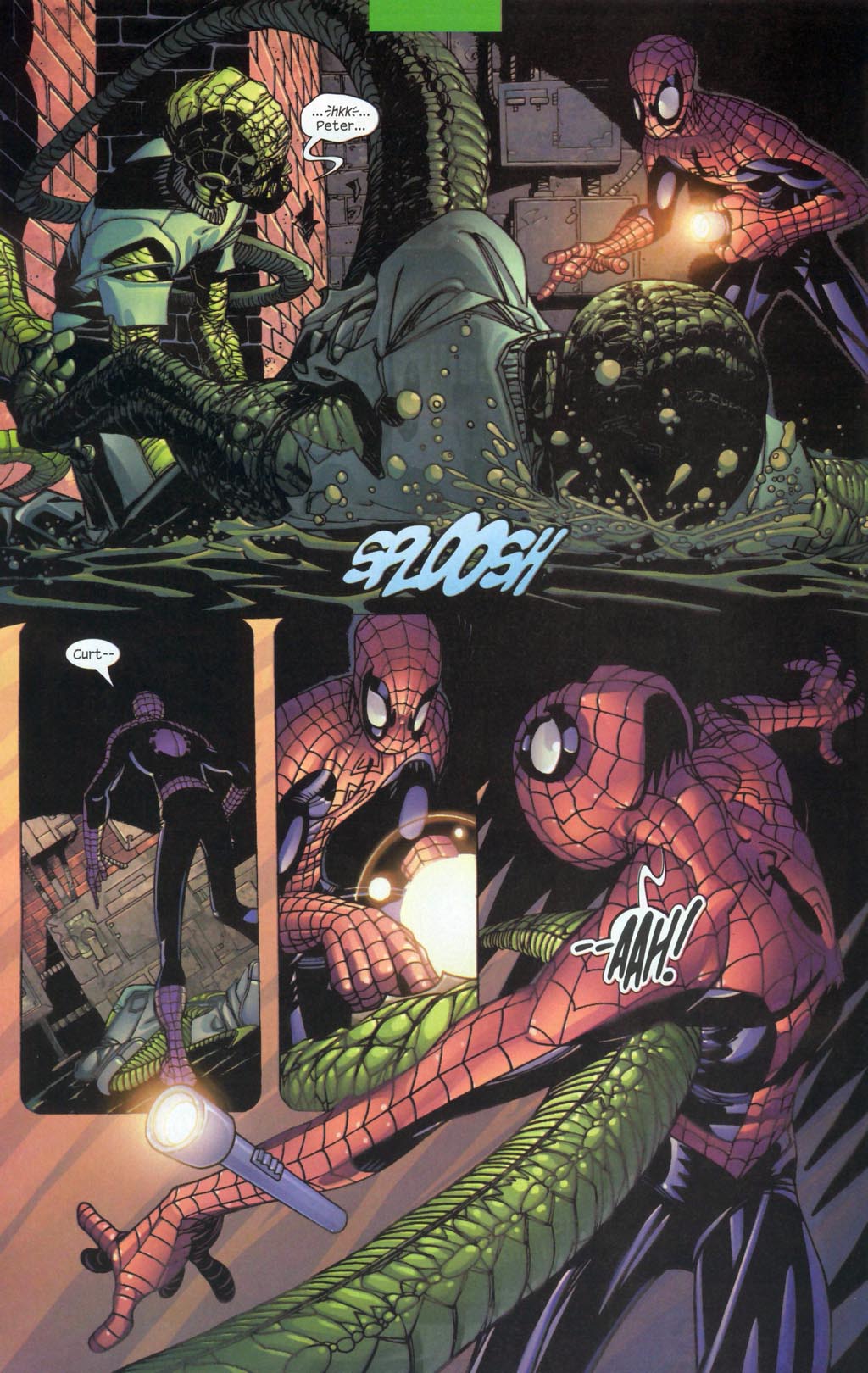 Read online The Spectacular Spider-Man (2003) comic -  Issue #12 - 21
