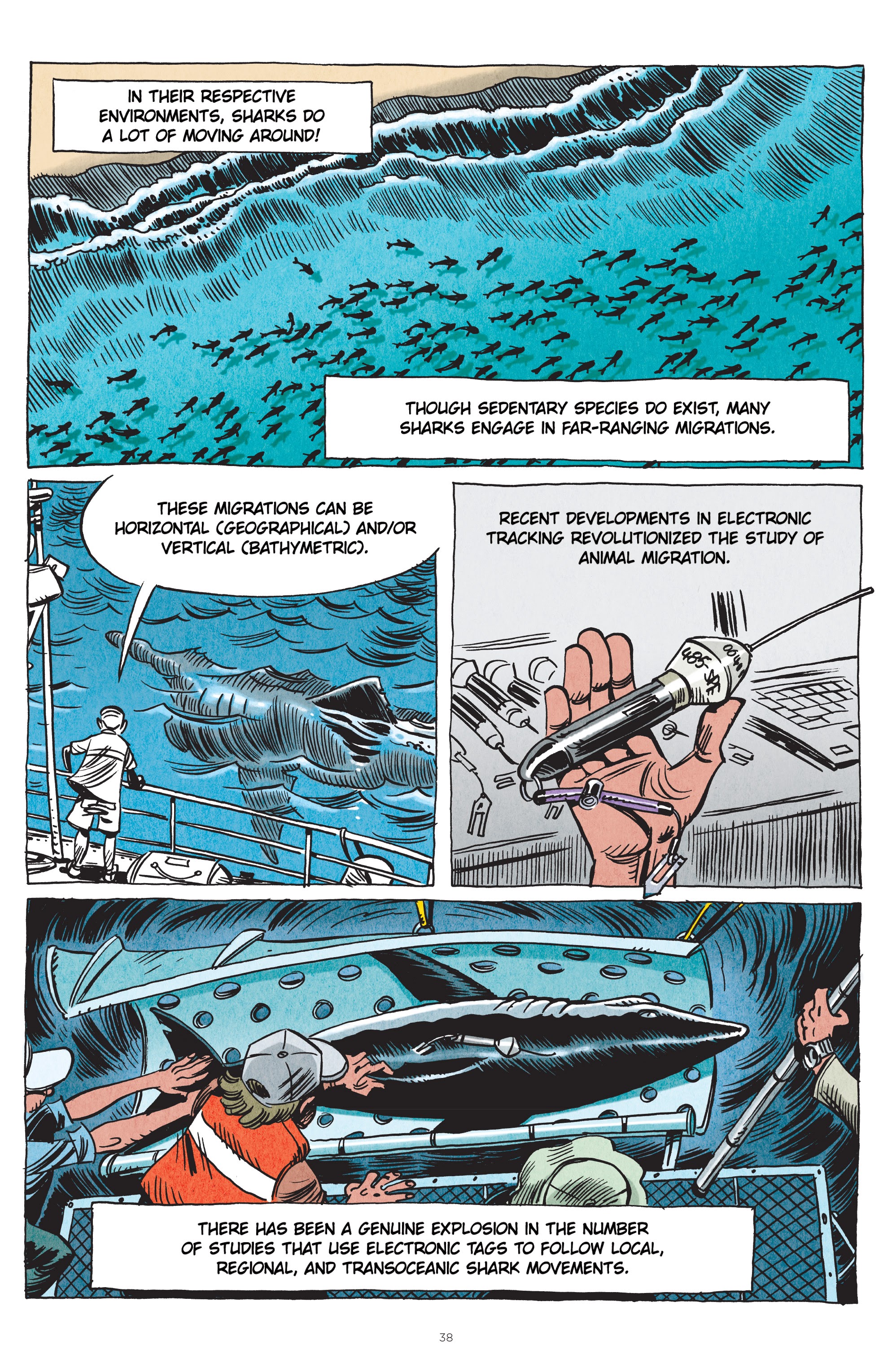 Read online Little Book of Knowledge: Sharks comic -  Issue # TPB - 38