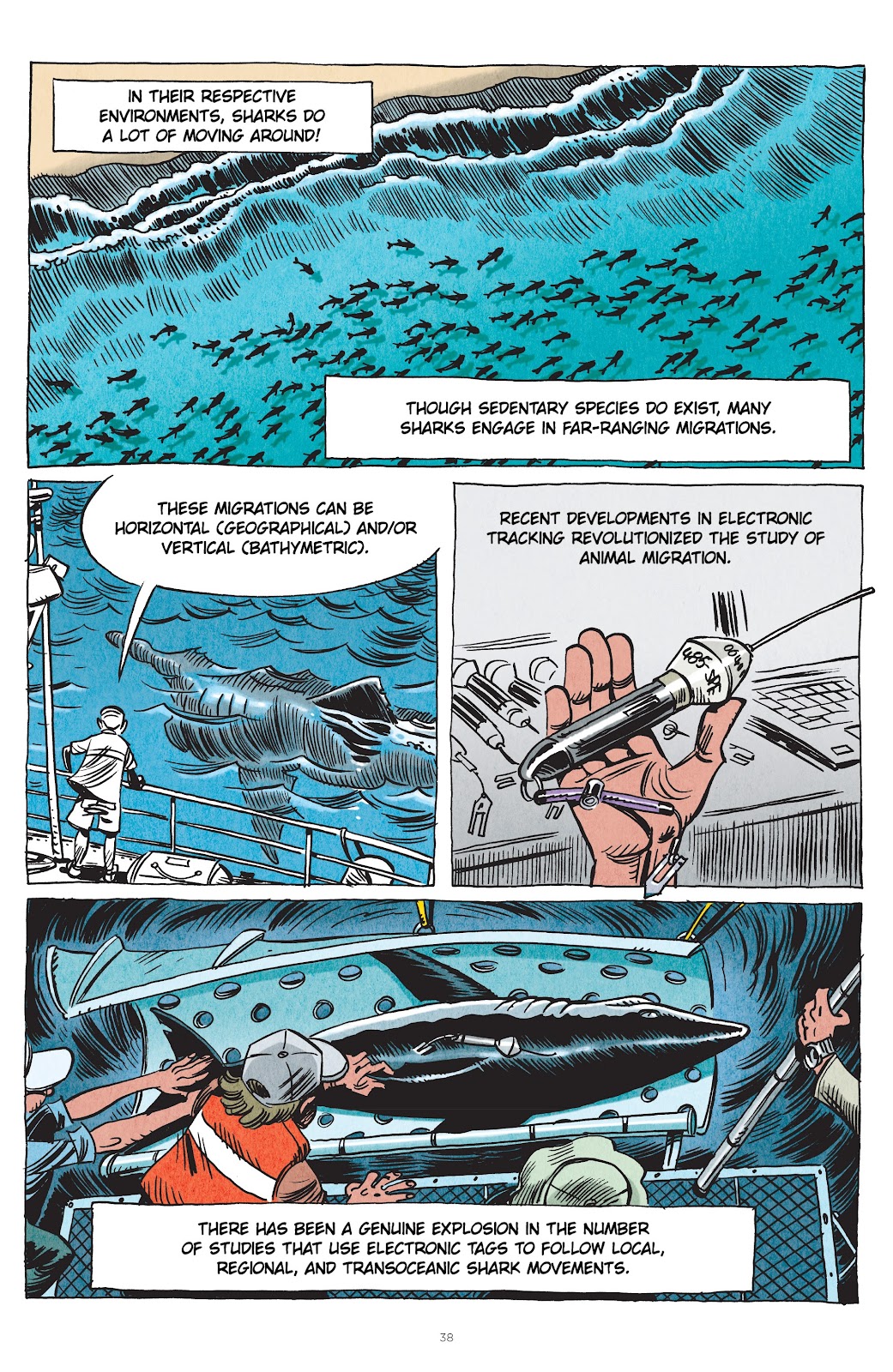 Little Book of Knowledge: Sharks issue TPB - Page 38