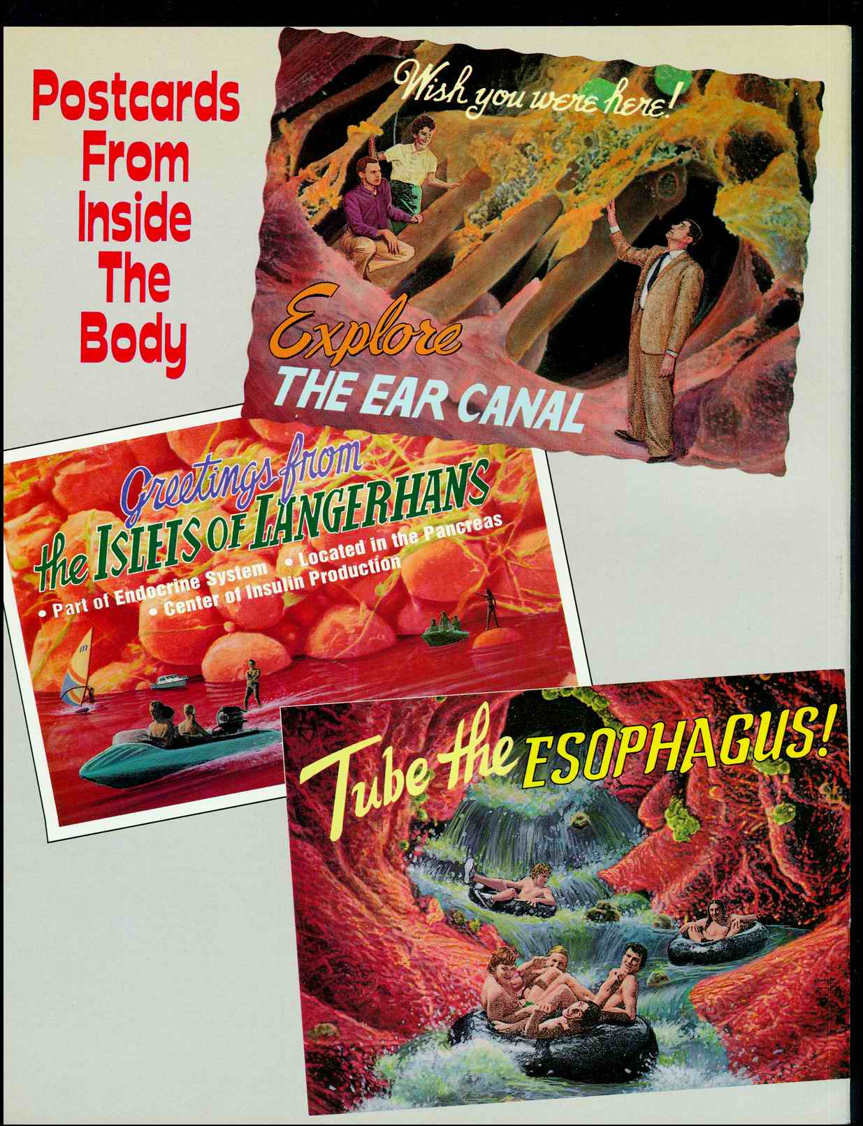 Read online MAD comic -  Issue #328 - 52