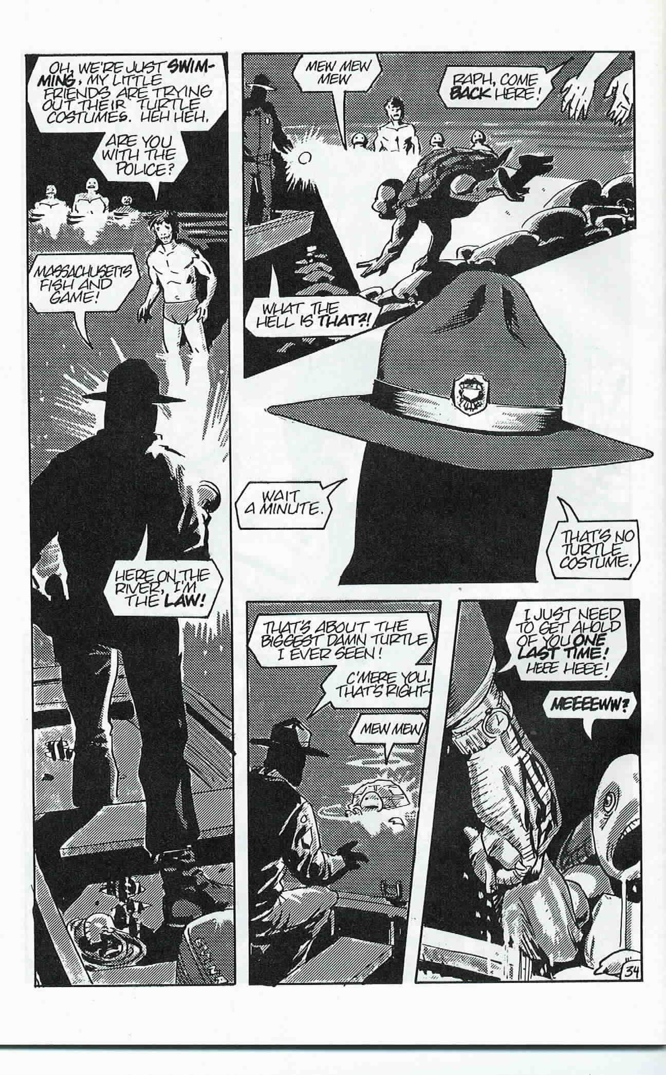 Teenage Mutant Ninja Turtles (1984) Issue #24 #24 - English 35
