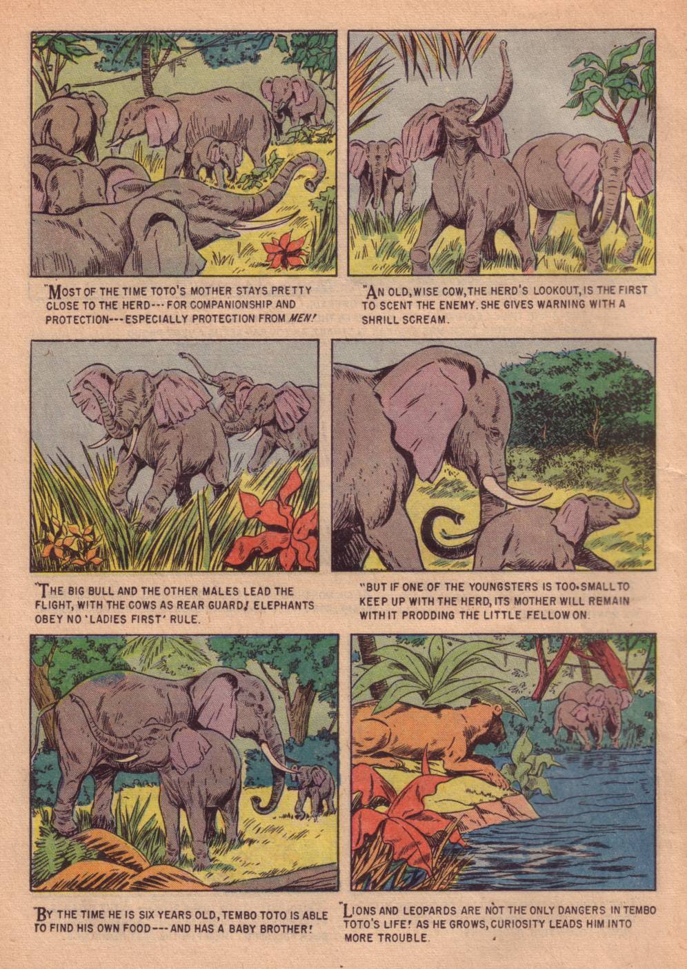 Read online Four Color Comics comic -  Issue #662 - 14