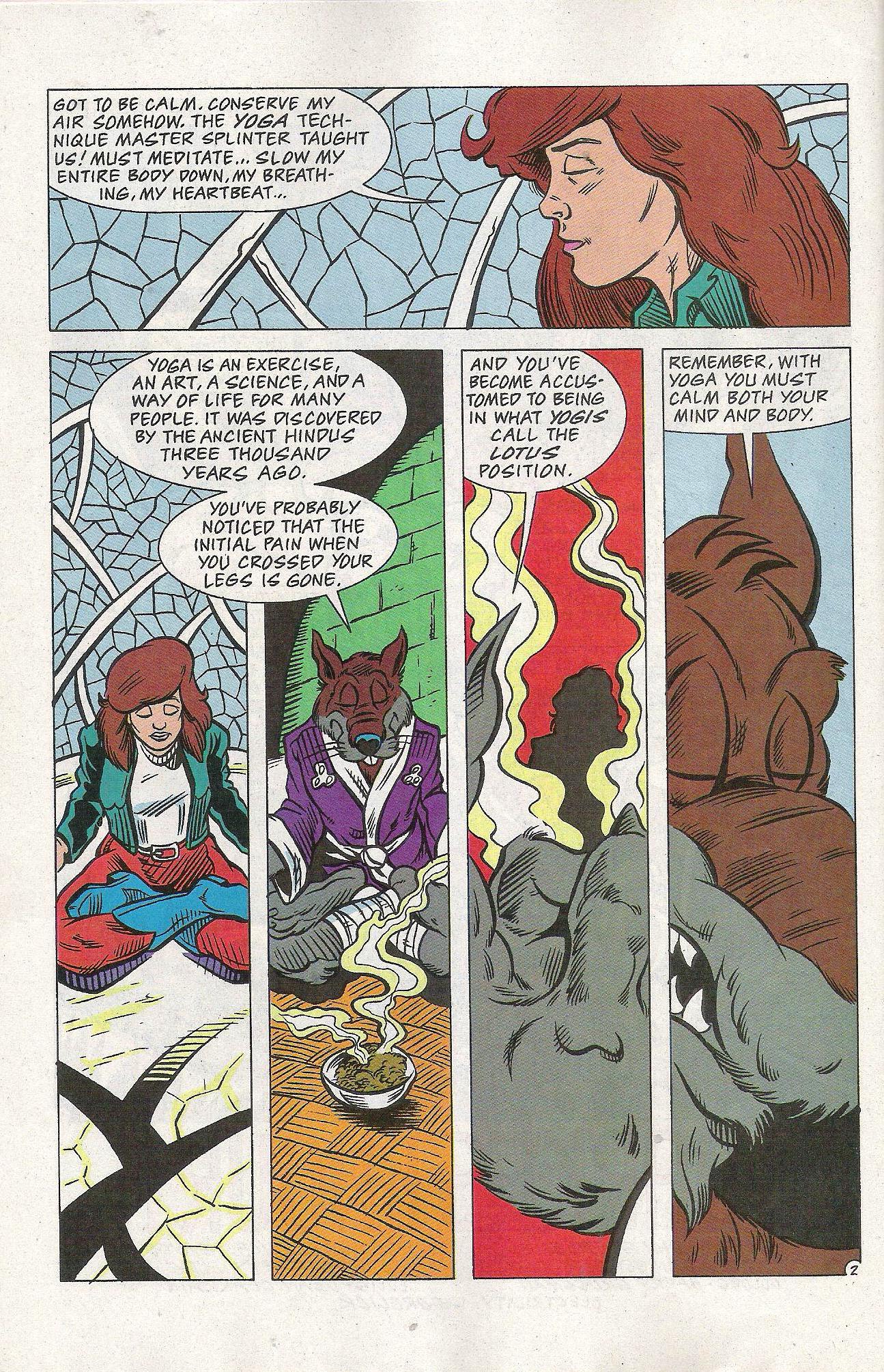 Read online Teenage Mutant Ninja Turtles Adventures (1989) comic -  Issue # _Special 6 - 31