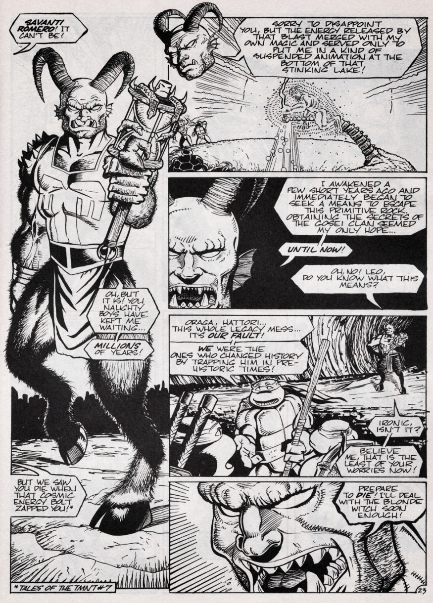 Teenage Mutant Ninja Turtles (1984) Issue #47 #47 - English 24