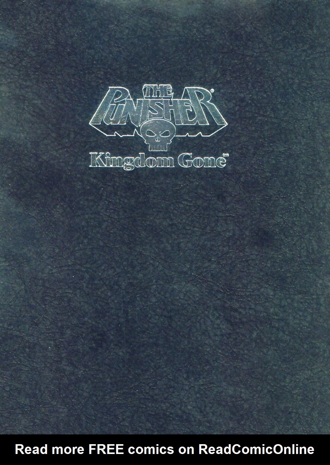 Read online The Punisher, Kingdom Gone comic -  Issue # Full - 3