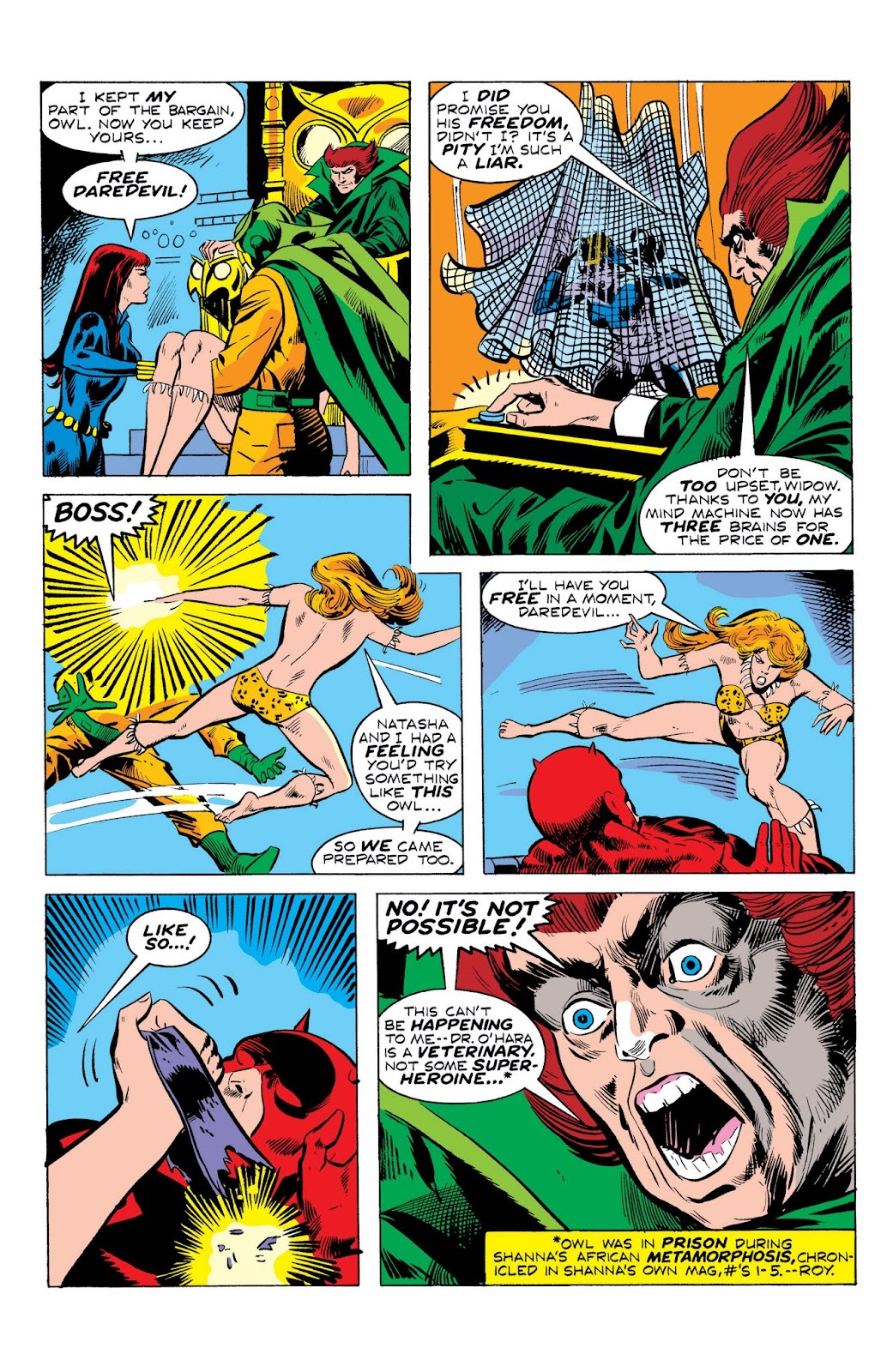 Marvel Masterworks: Daredevil issue TPB 11 - Page 207