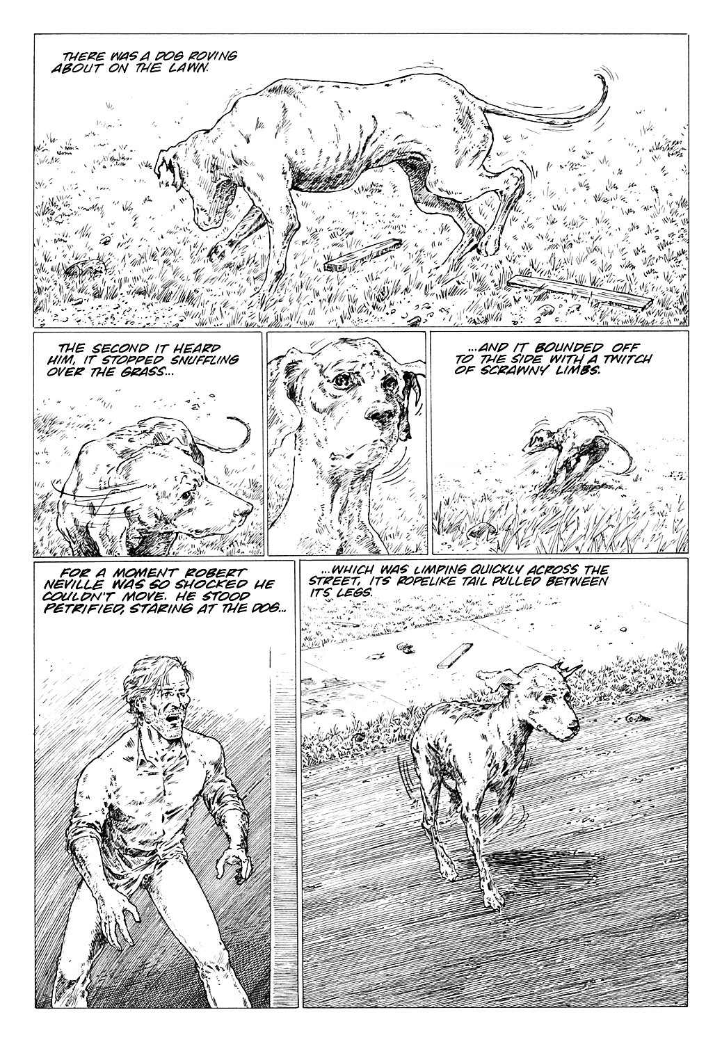 Read online Richard Matheson's I Am Legend comic -  Issue # TPB - 133