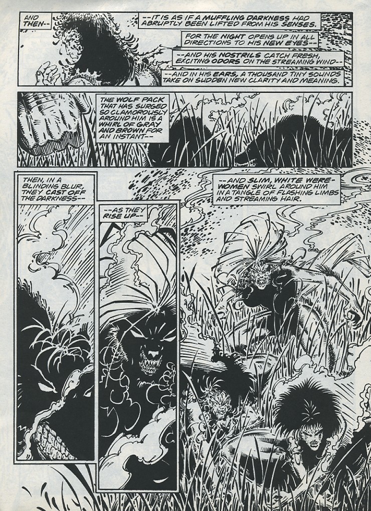 The Savage Sword Of Conan issue 221 - Page 16