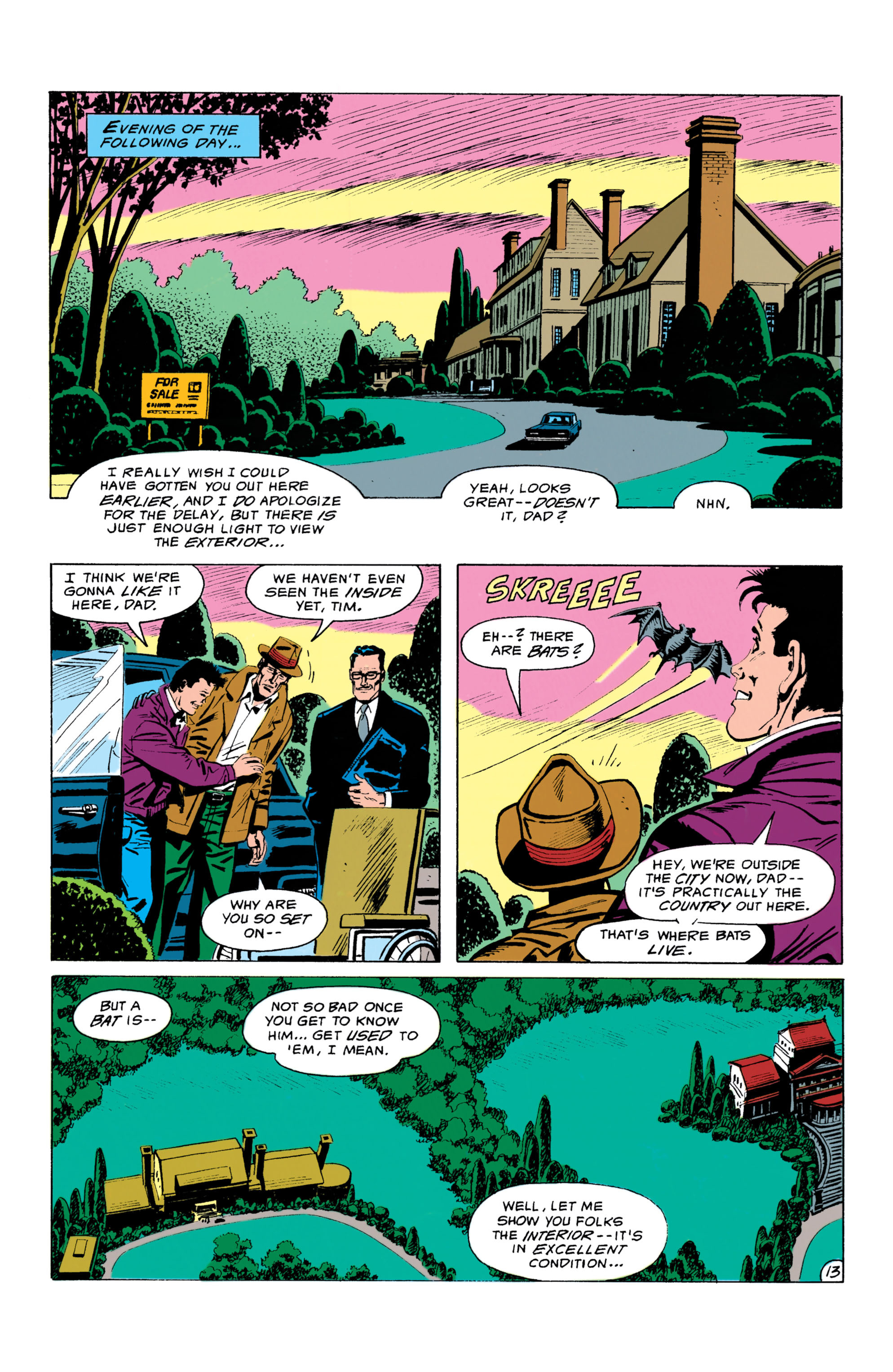 Read online Batman (1940) comic -  Issue #481 - 14