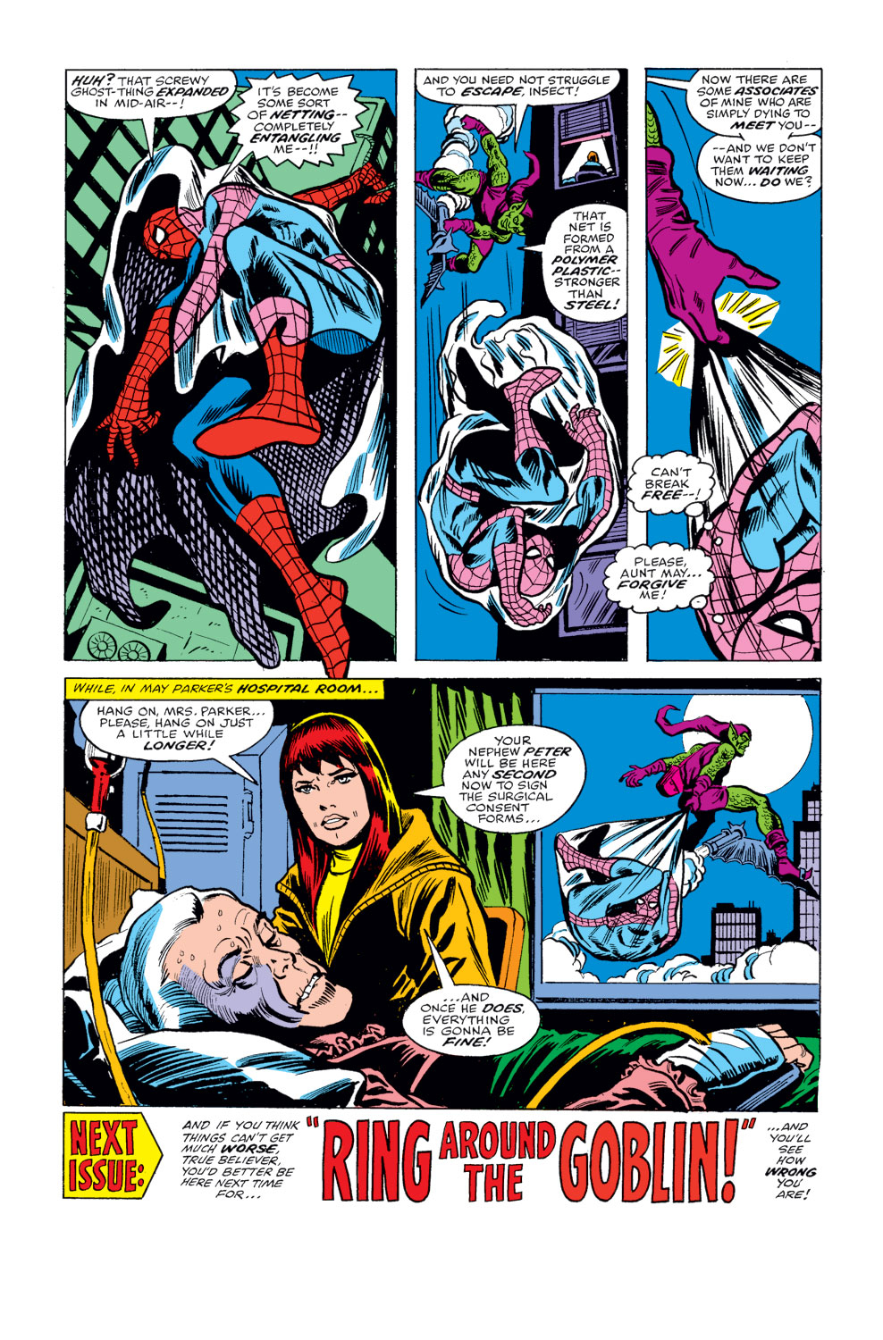 The Amazing Spider-Man (1963) 178 Page 17