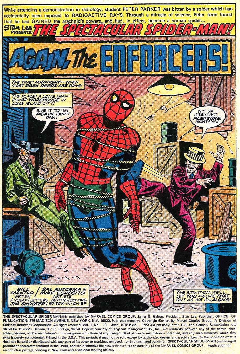 Read online The Spectacular Spider-Man (1976) comic -  Issue #19 - 2