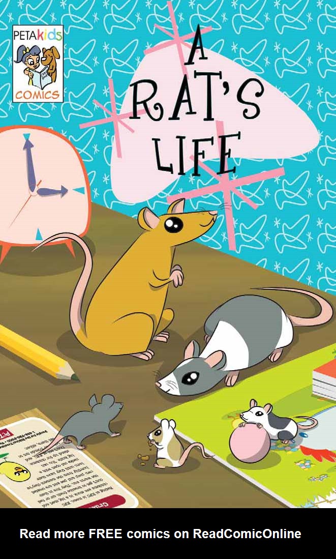 A Rat's Life issue Full - Page 1