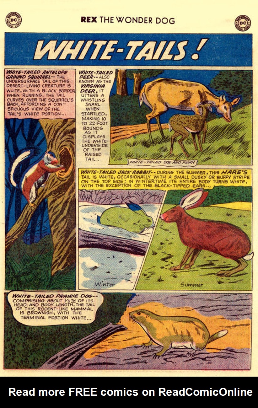 Read online The Adventures of Rex the Wonder Dog comic -  Issue #46 - 23
