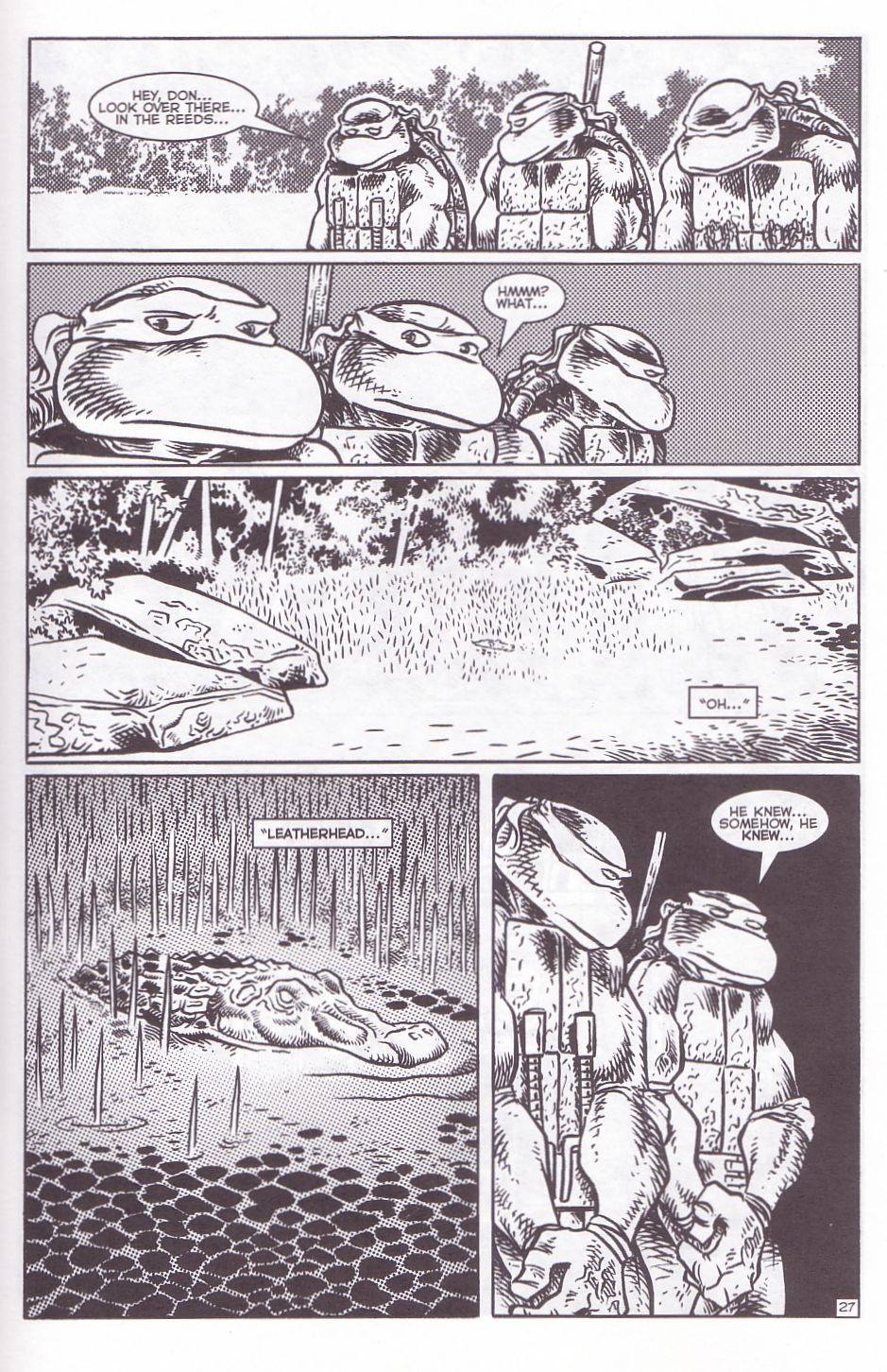 TMNT: Teenage Mutant Ninja Turtles Issue #11 #11 - English 29