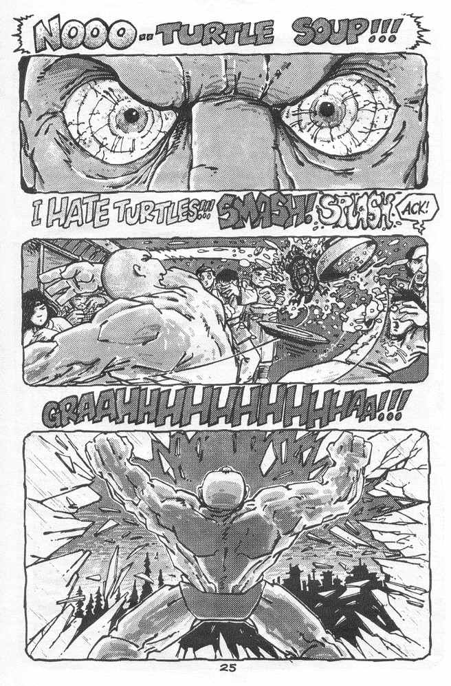 Teenage Mutant Ninja Turtles (1984) Issue #18 #18 - English 28