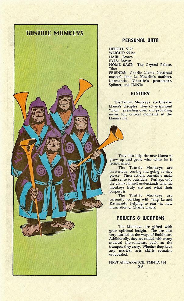 Read online Teenage Mutant Ninja Turtles Mutant Universe Sourcebook comic -  Issue #2 - 27