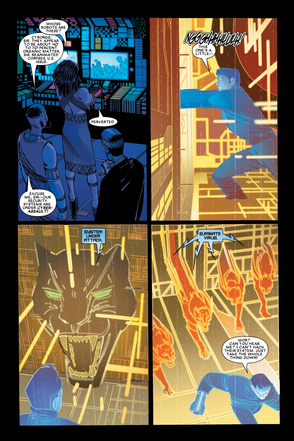 Read online Black Panther (2005) comic -  Issue #6 - 14