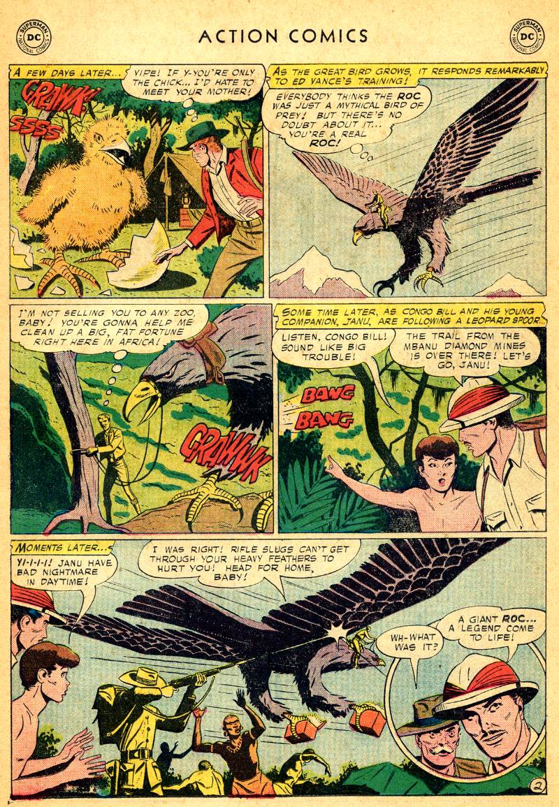 Action Comics (1938) issue 244 - Page 19
