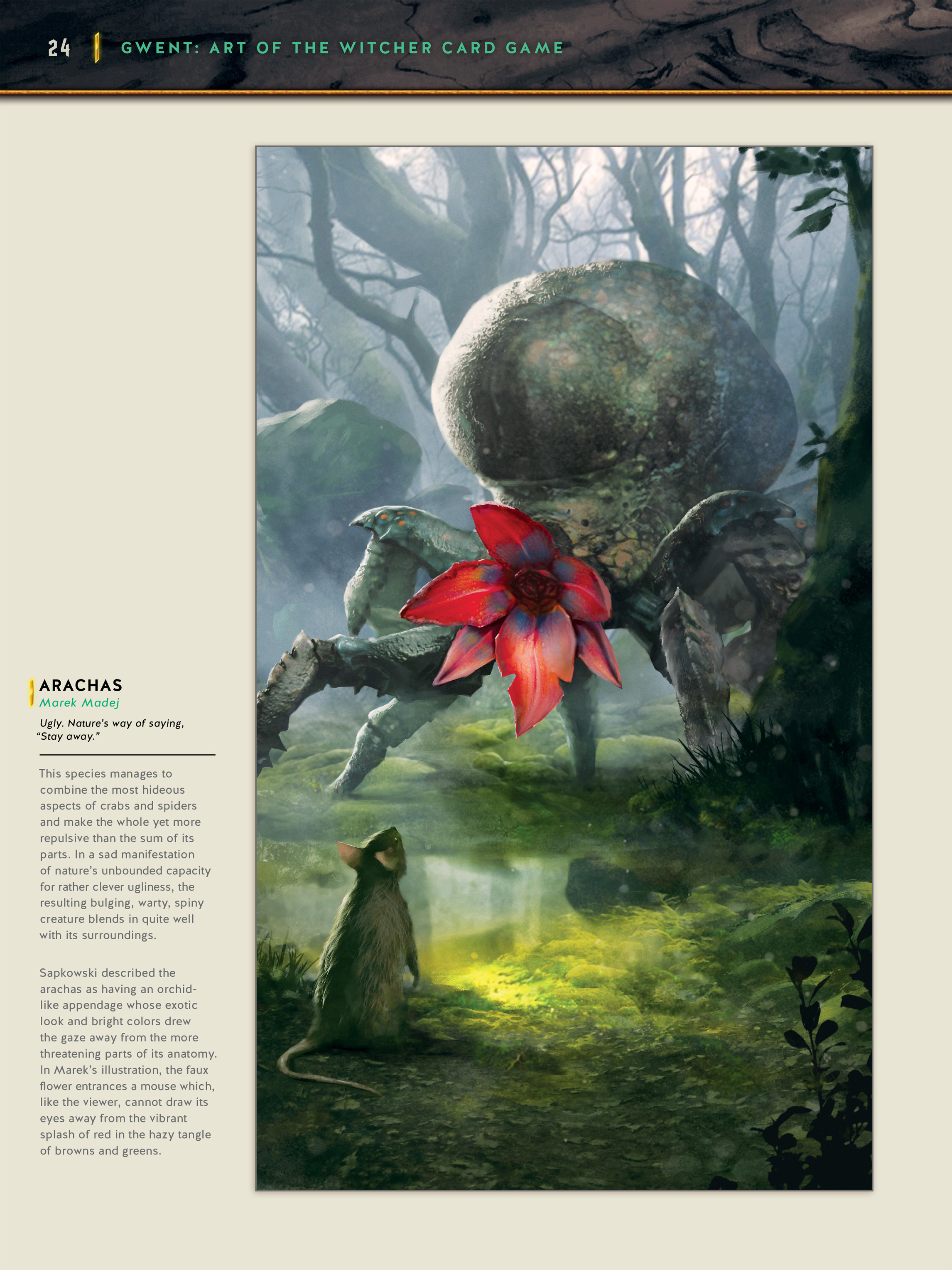 Read online Gwent: Art of the Witcher Card Game comic -  Issue # TPB (Part 1) - 20