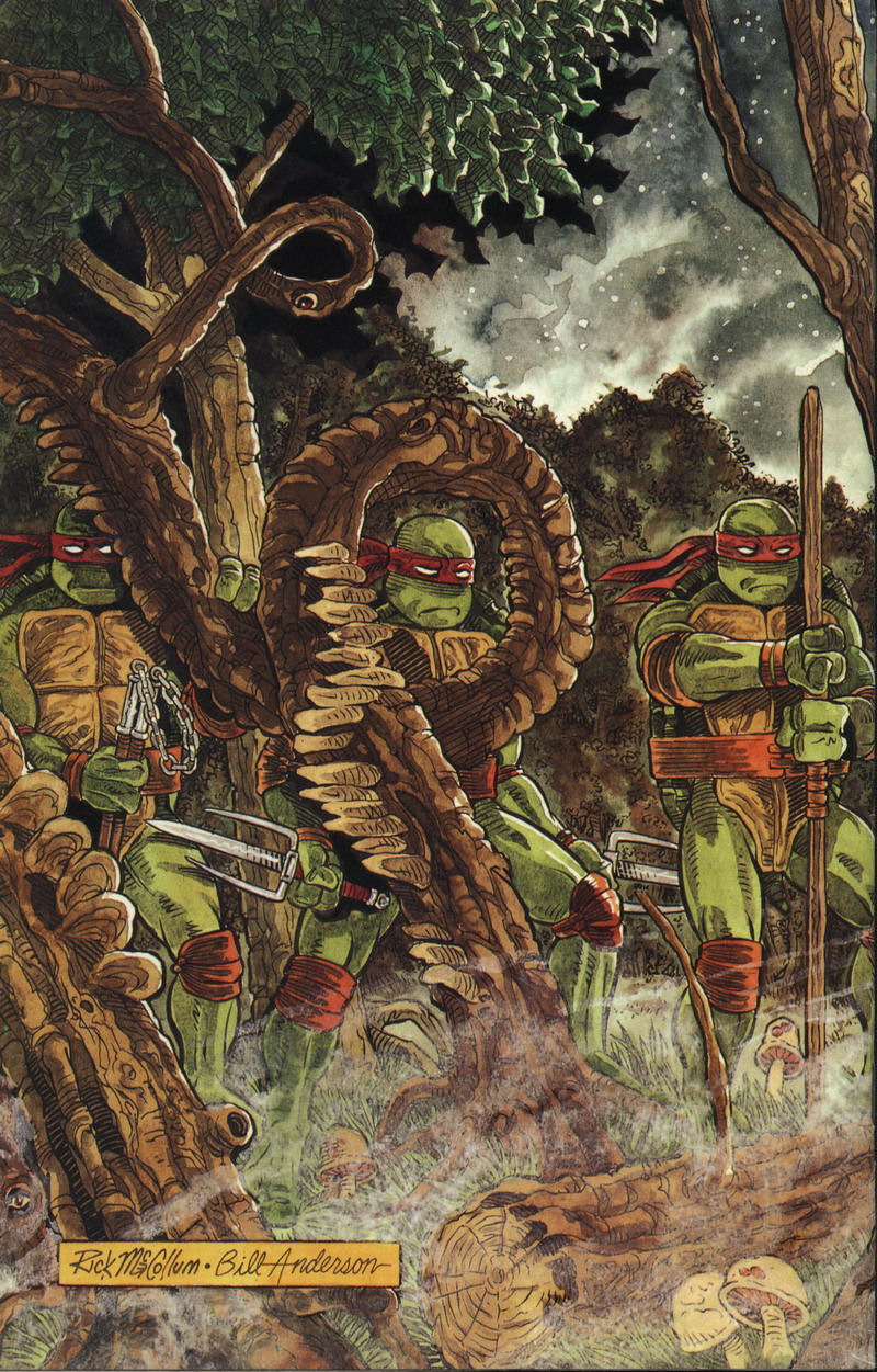 Read online Teenage Mutant Ninja Turtles (1984) comic -  Issue #37 - 41