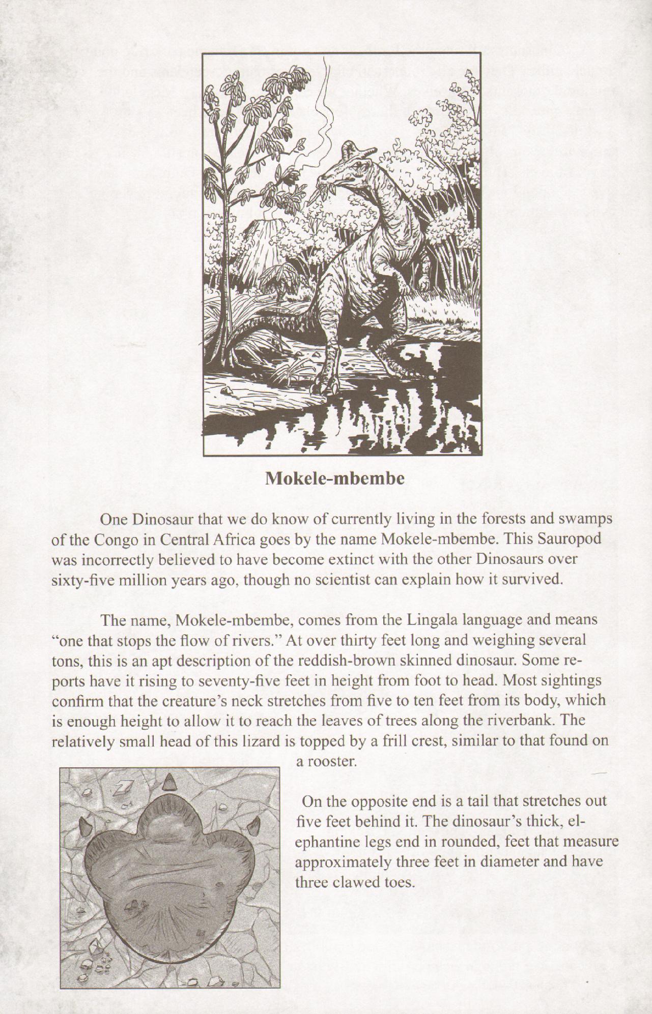 Read online The Monster Hunters' Survival Guide comic -  Issue #3 - 34