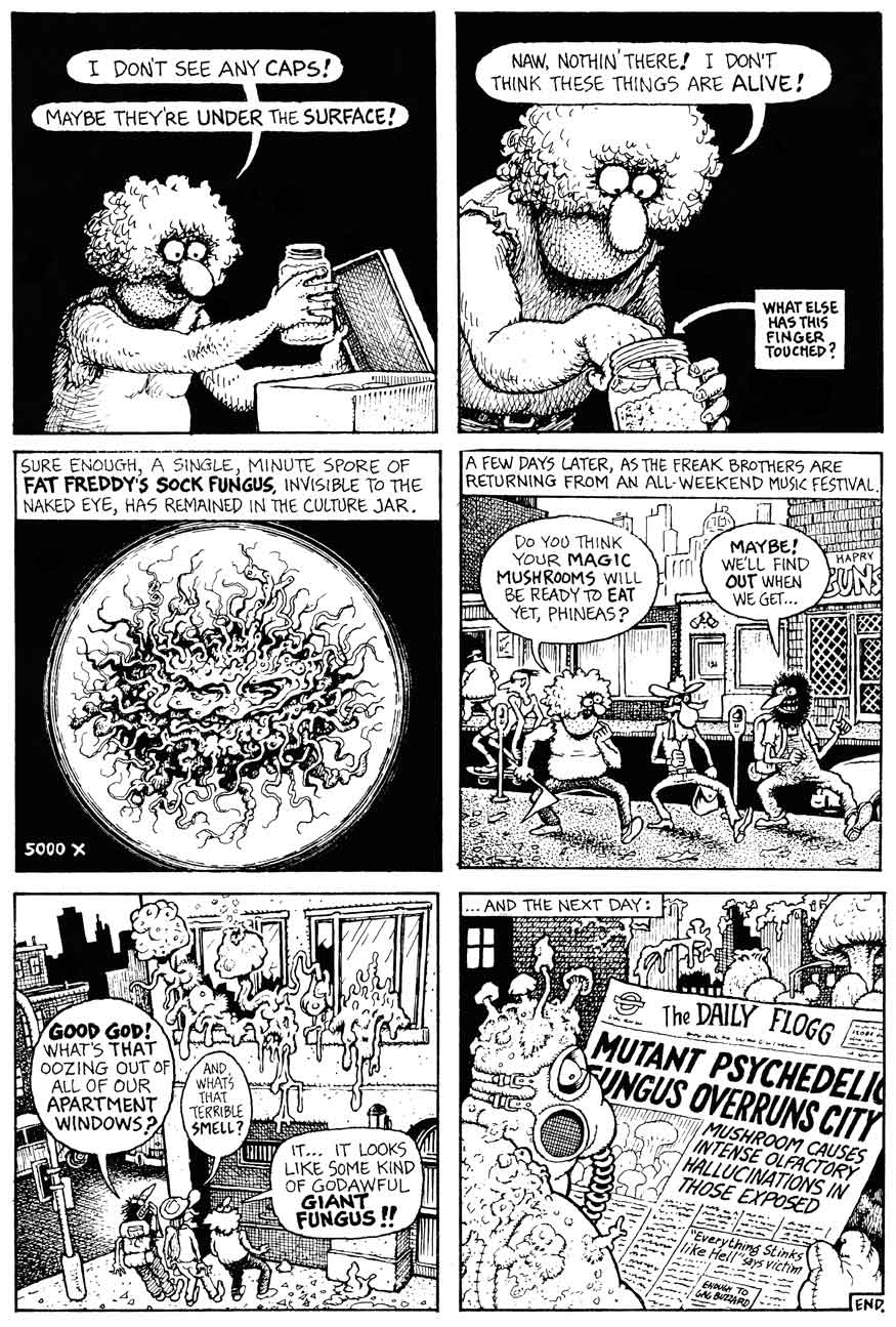 Read online The Fabulous Furry Freak Brothers comic -  Issue #12 - 11