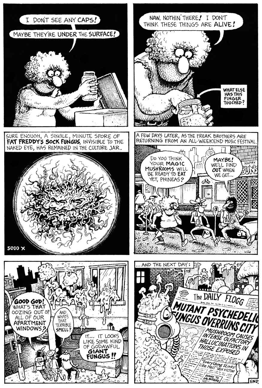 The Fabulous Furry Freak Brothers issue 12 - Page 11