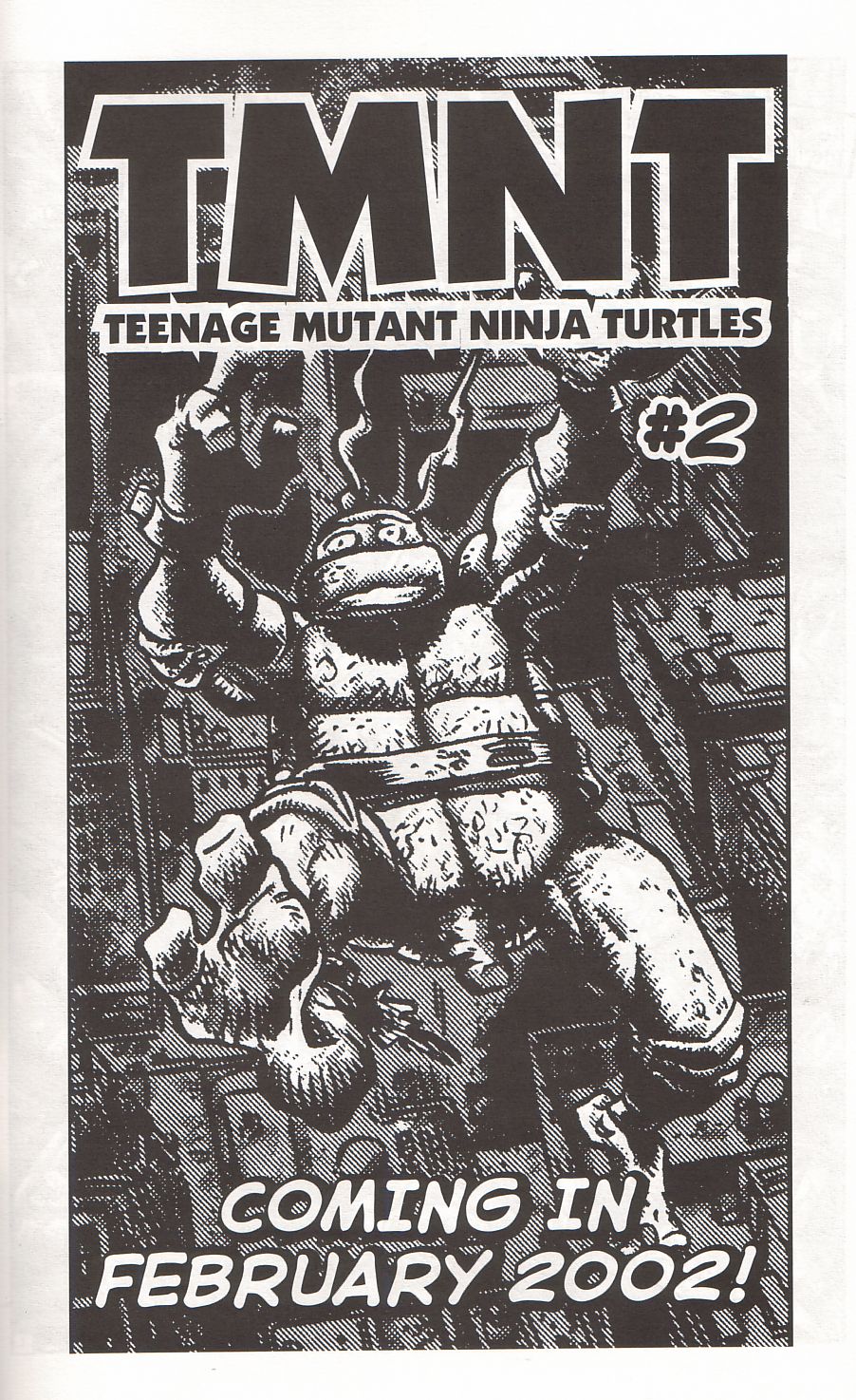Read online TMNT: Teenage Mutant Ninja Turtles comic -  Issue #1 - 33