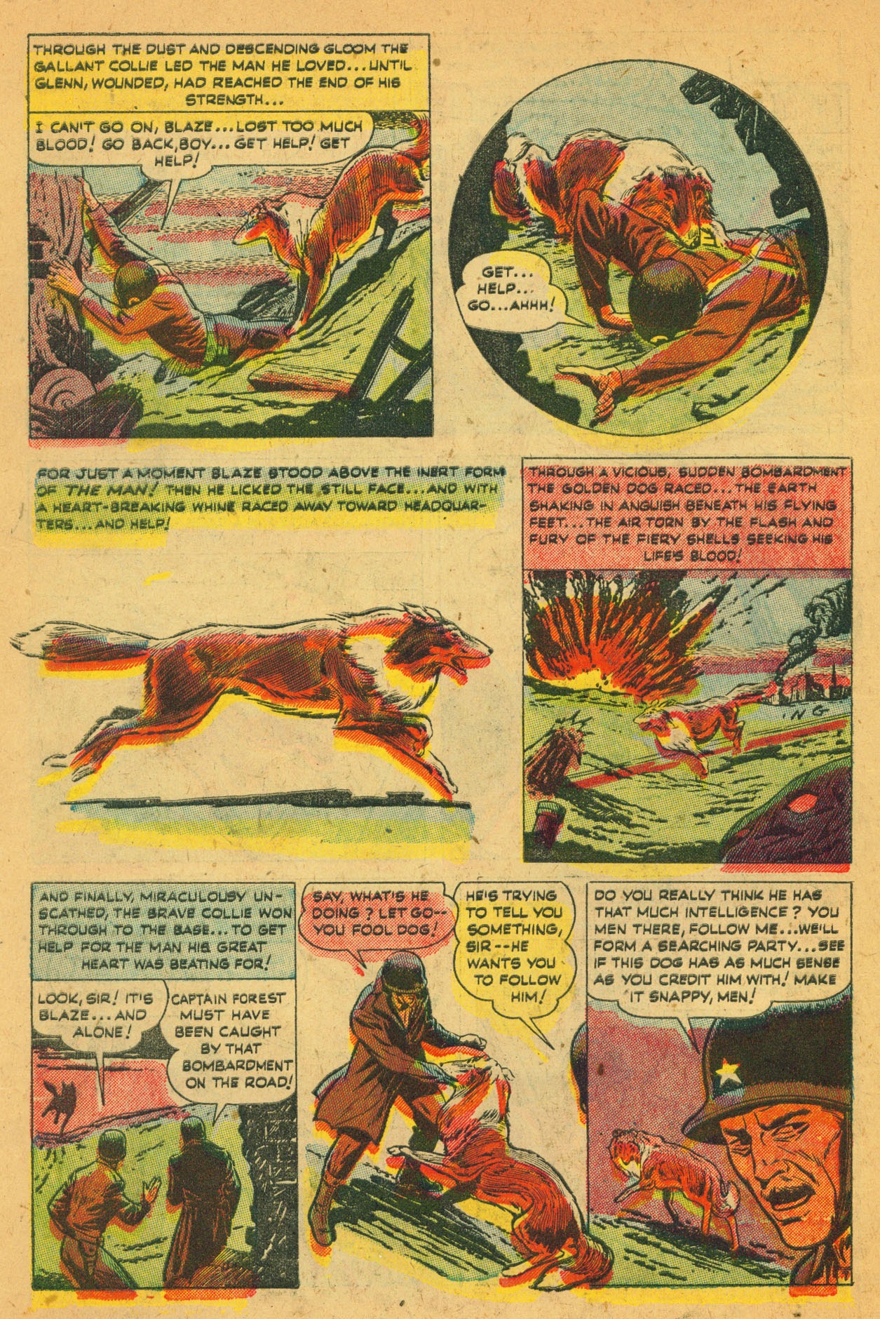 Read online Blaze the Wonder Collie comic -  Issue #2 - 10