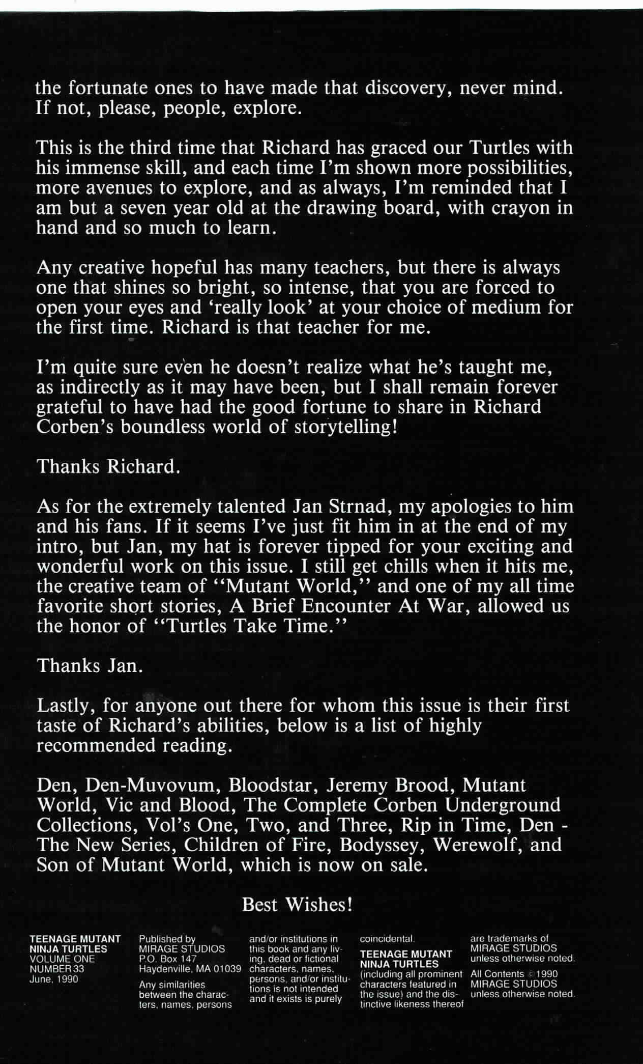 Read online Teenage Mutant Ninja Turtles (1984) comic -  Issue #33 - 31