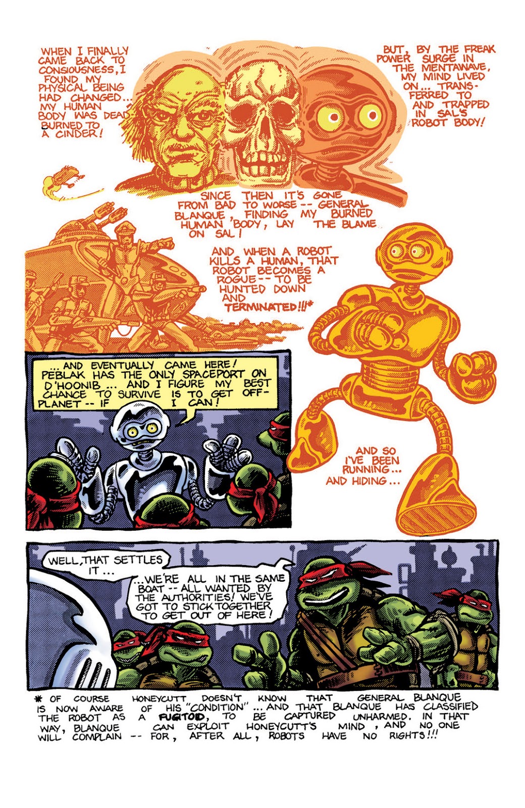 Teenage Mutant Ninja Turtles Color Classics (2012) issue 5 - Page 14