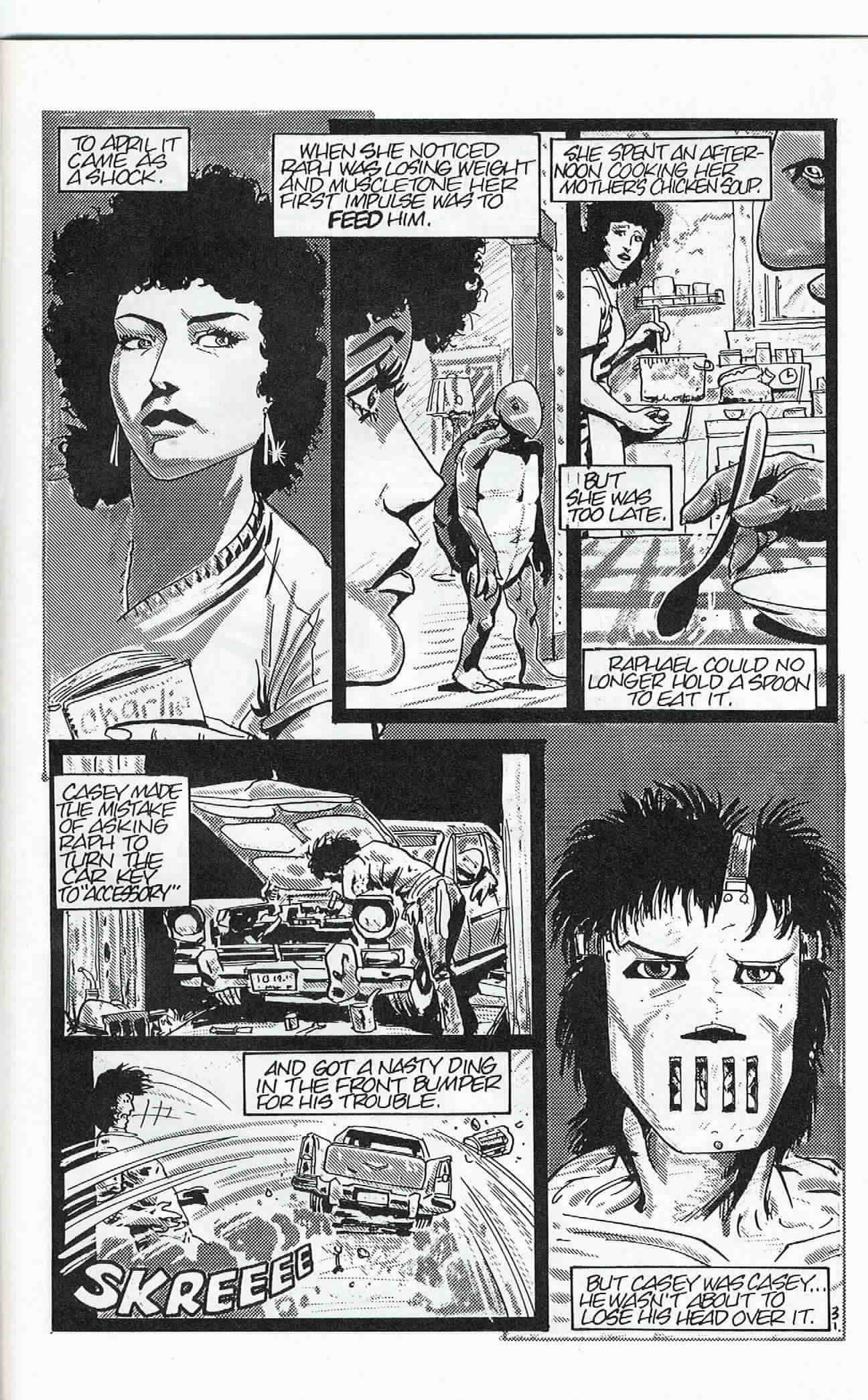 Teenage Mutant Ninja Turtles (1984) Issue #24 #24 - English 32