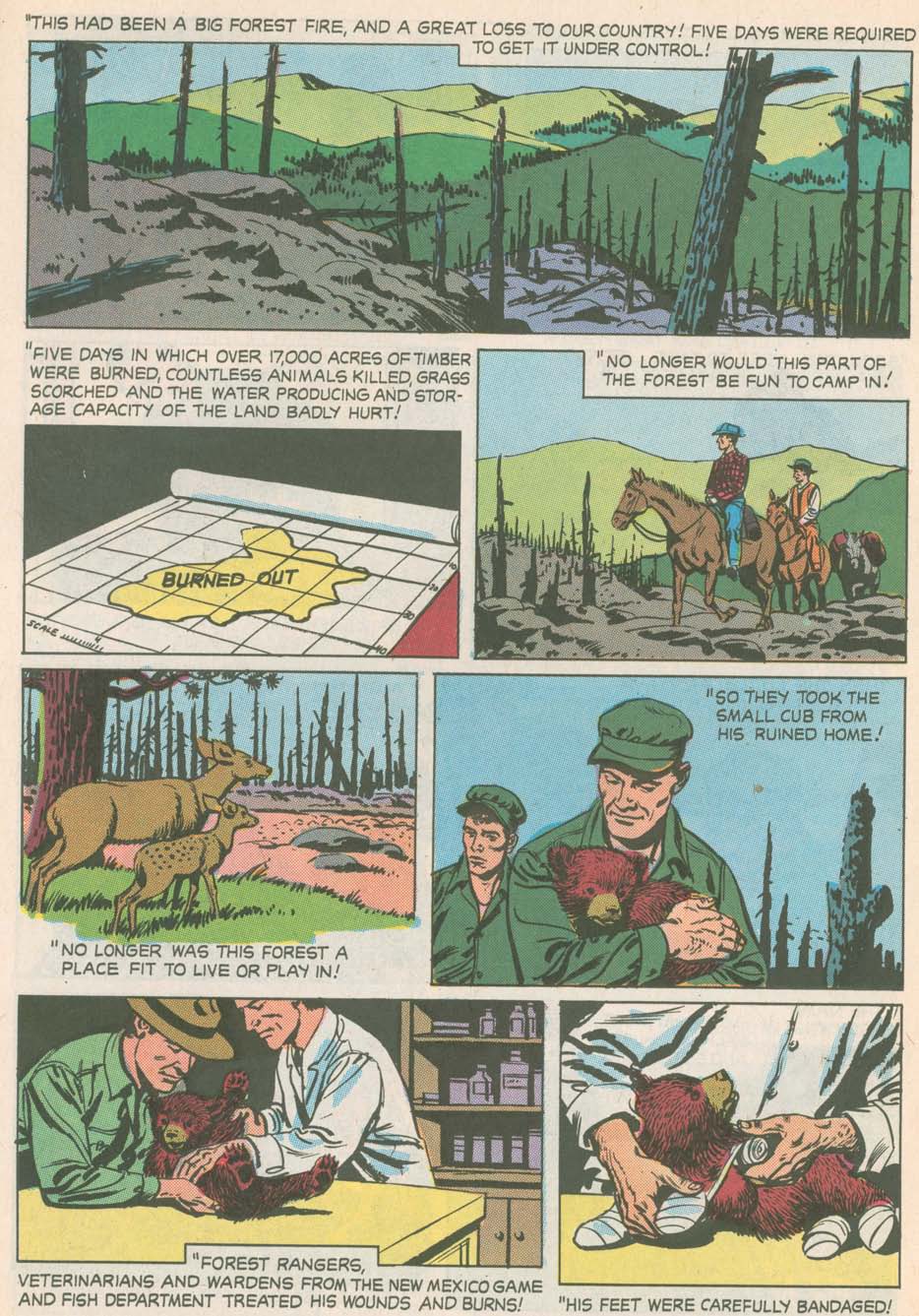 Read online The True Story of Smokey  Bear comic -  Issue # Full - 13
