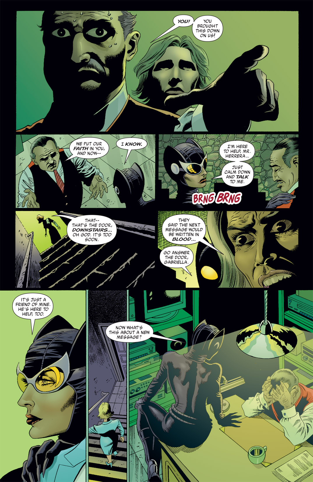 Read online Catwoman (2002) comic -  Issue #26 - 14