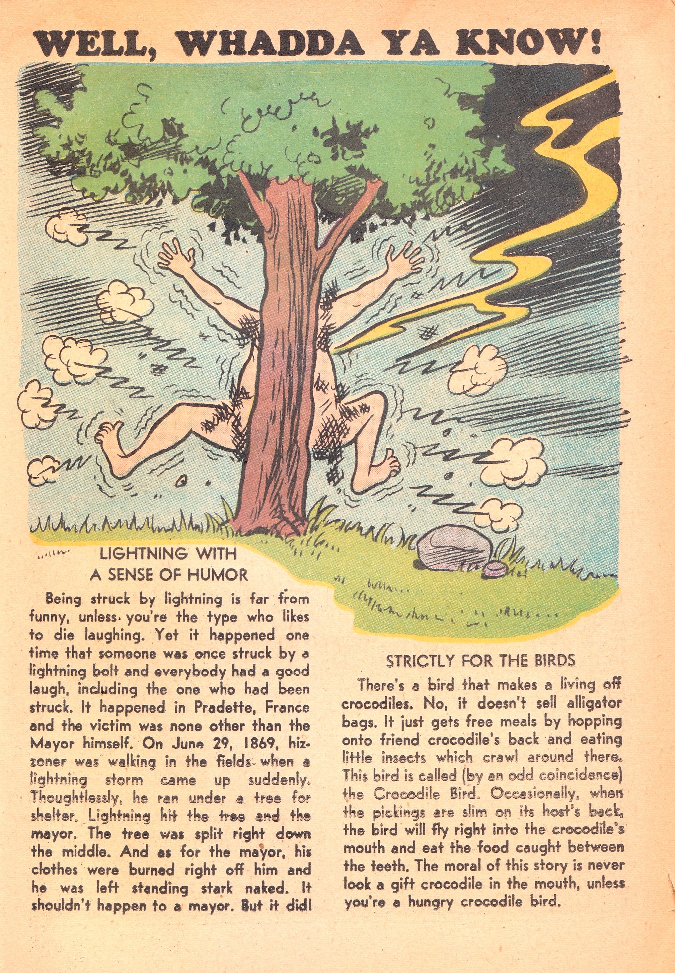 Read online Laugh (Comics) comic -  Issue #74 - 25