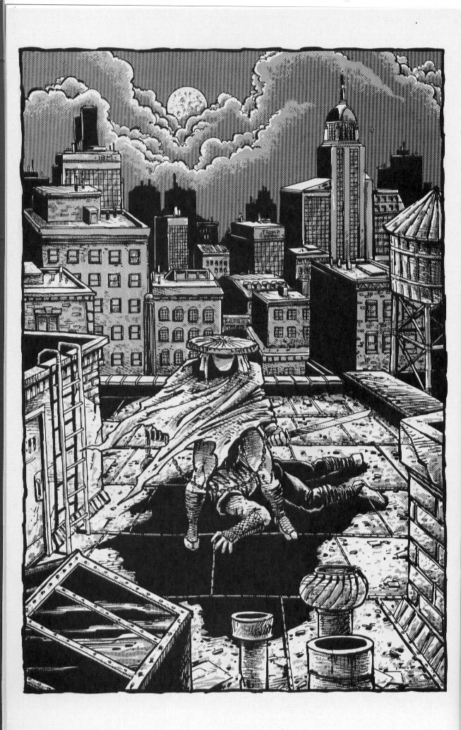 Read online Teenage Mutant Ninja Turtles (1984) comic -  Issue #50 - 31