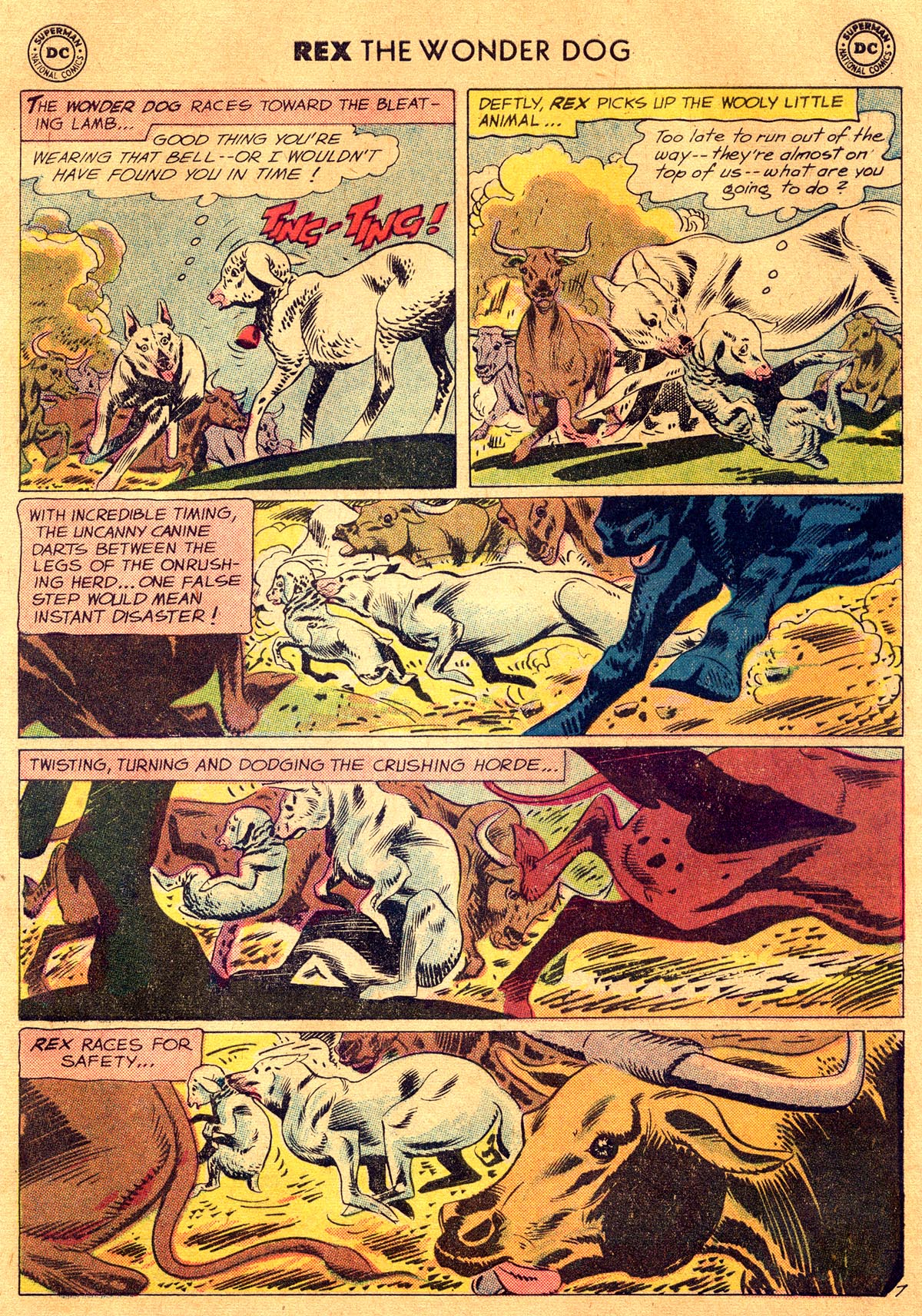 Read online The Adventures of Rex the Wonder Dog comic -  Issue #40 - 9