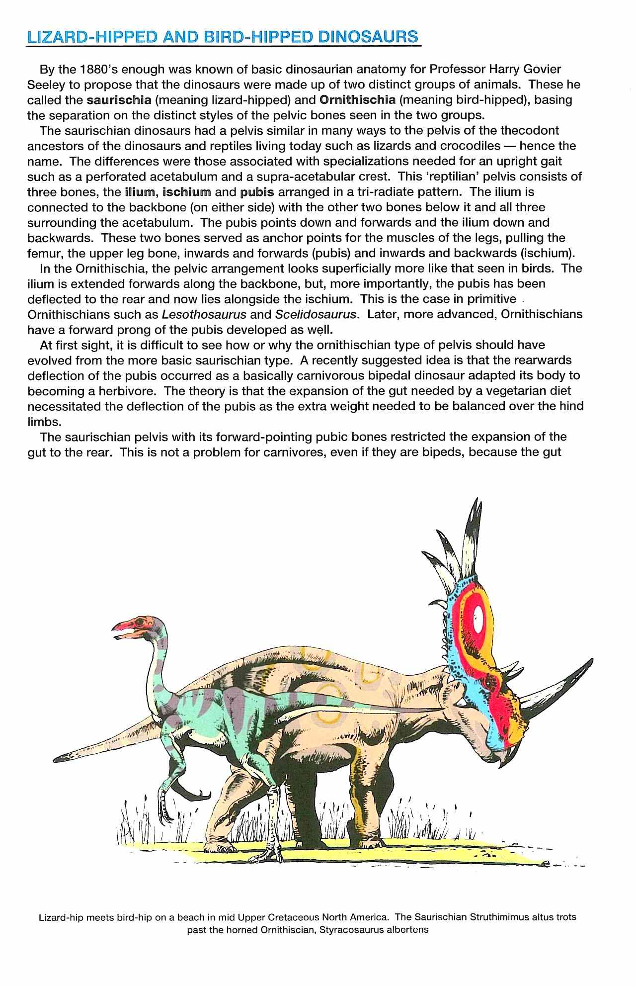 Read online Dinosaurs, A Celebration comic -  Issue #2 - 6