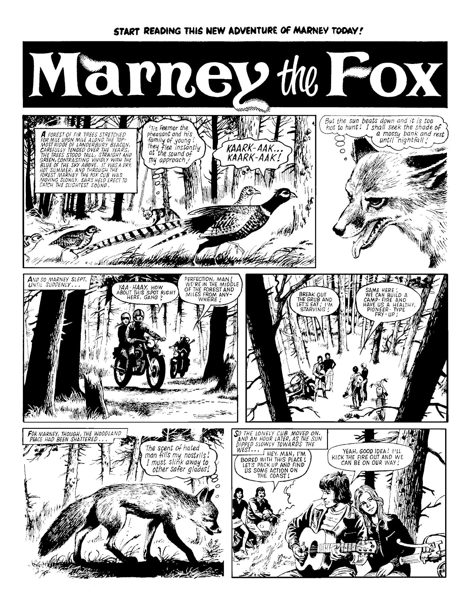 Read online Marney the Fox comic -  Issue # TPB (Part 2) - 8