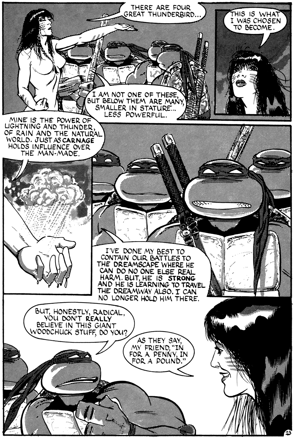 Teenage Mutant Ninja Turtles (1984) Issue #27 #27 - English 23