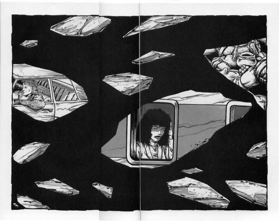 Read online Teenage Mutant Ninja Turtles (1984) comic -  Issue #50 - 42