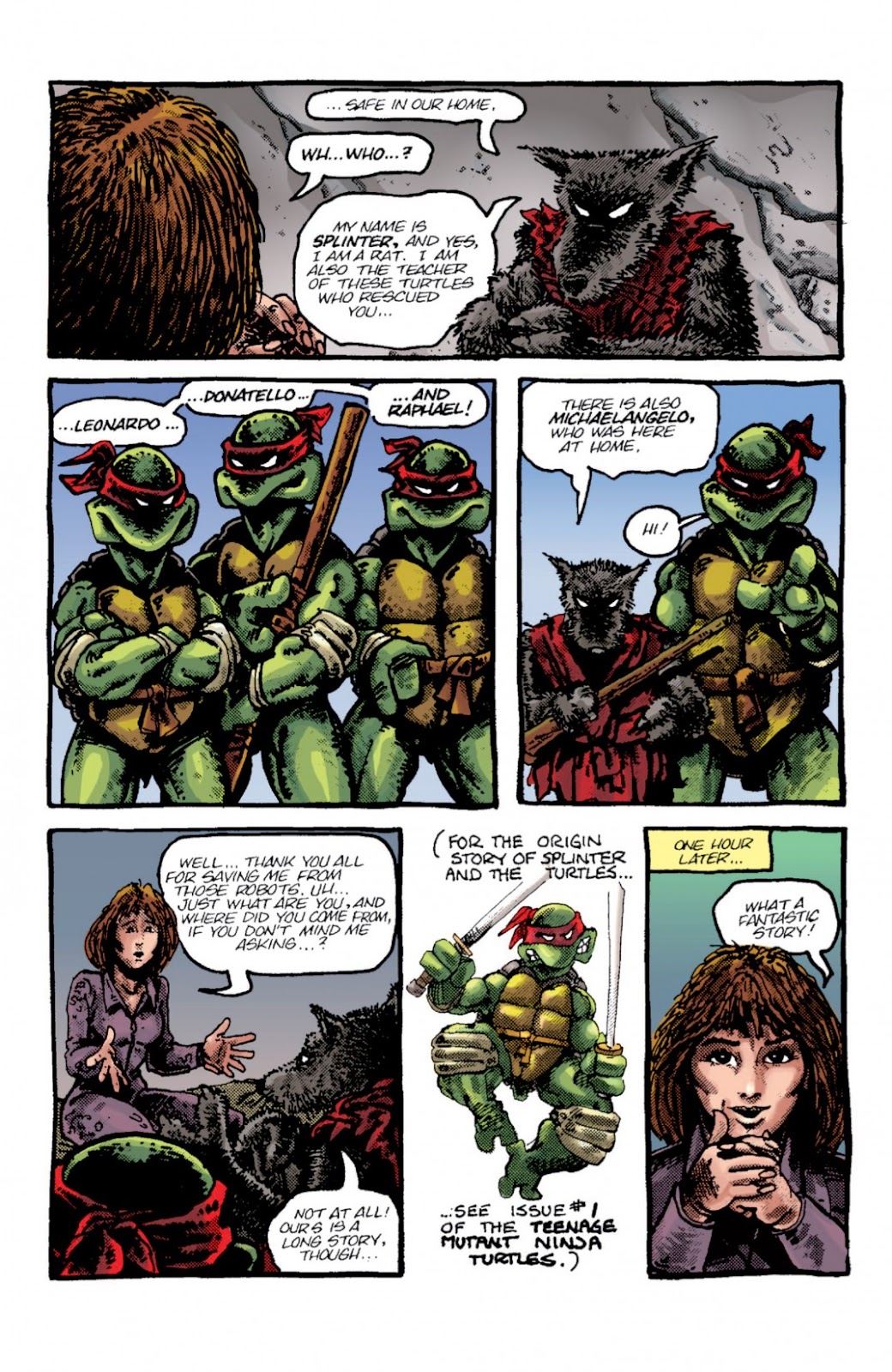 Teenage Mutant Ninja Turtles Color Classics (2012) issue 2 - Page 20
