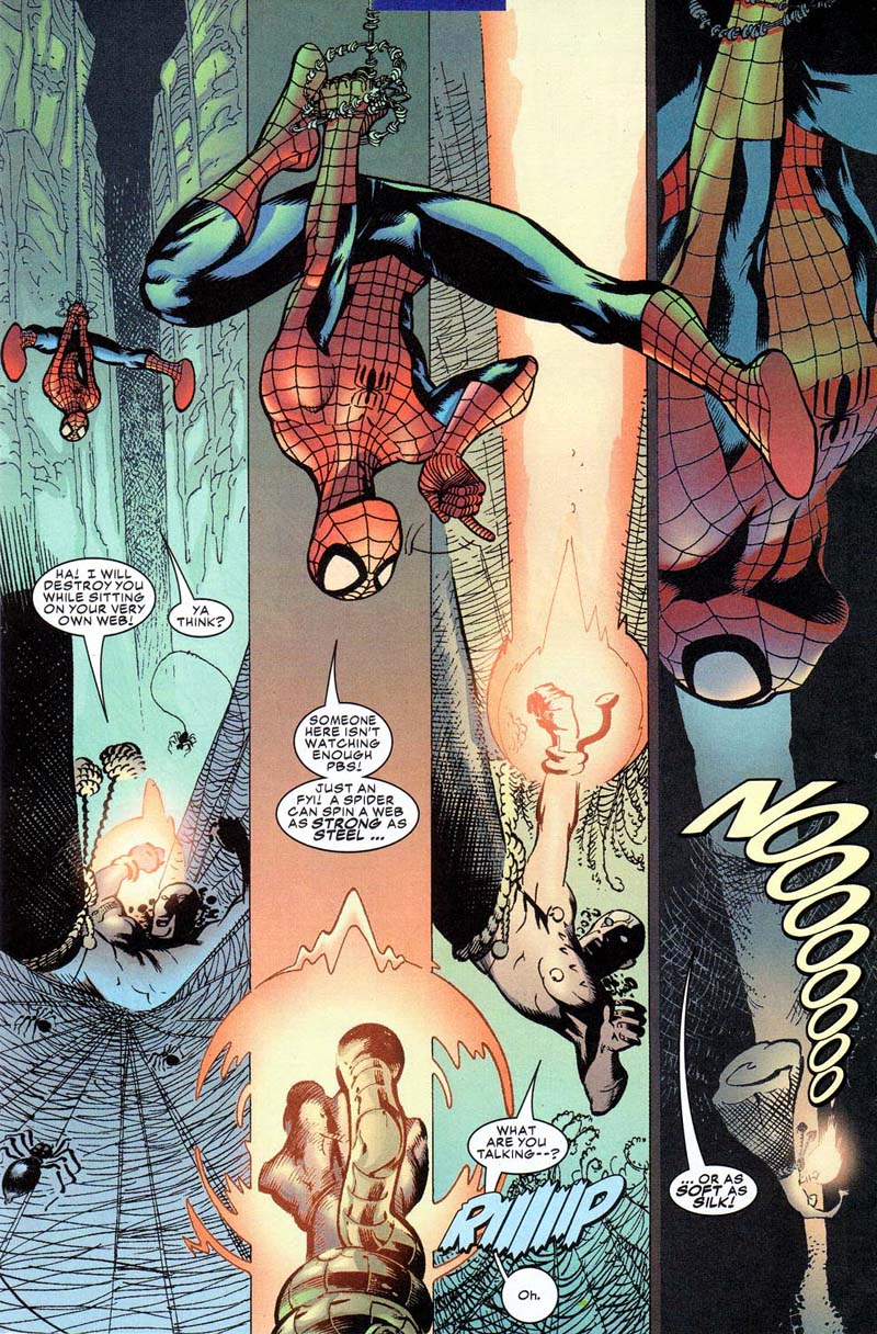 Read online Peter Parker: Spider-Man comic -  Issue # _Annual 2001 - 33