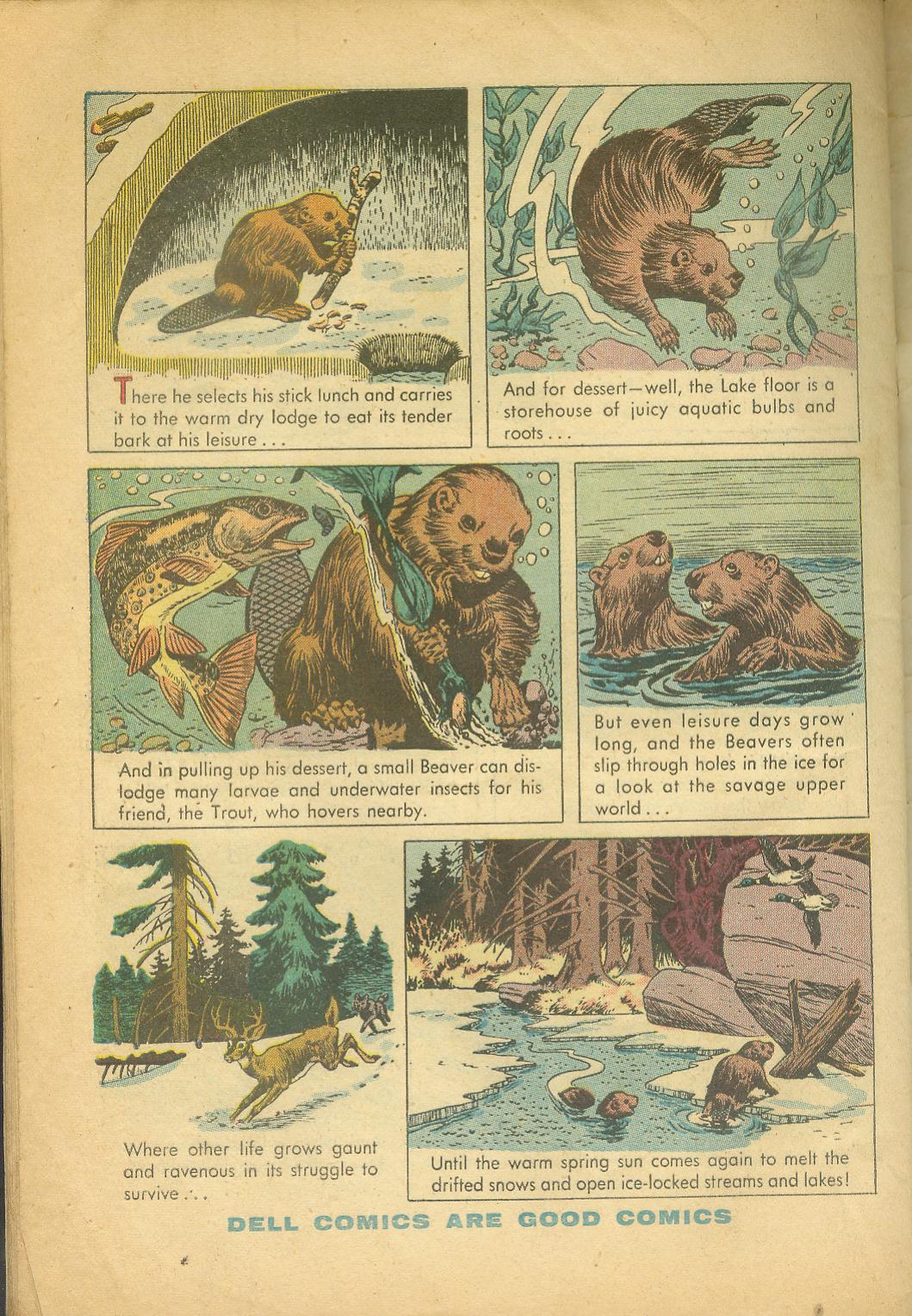 Read online Four Color Comics comic -  Issue #625 - 34