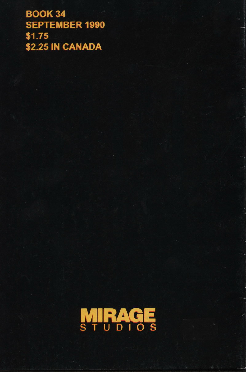 Read online Teenage Mutant Ninja Turtles (1984) comic -  Issue #34 - 32