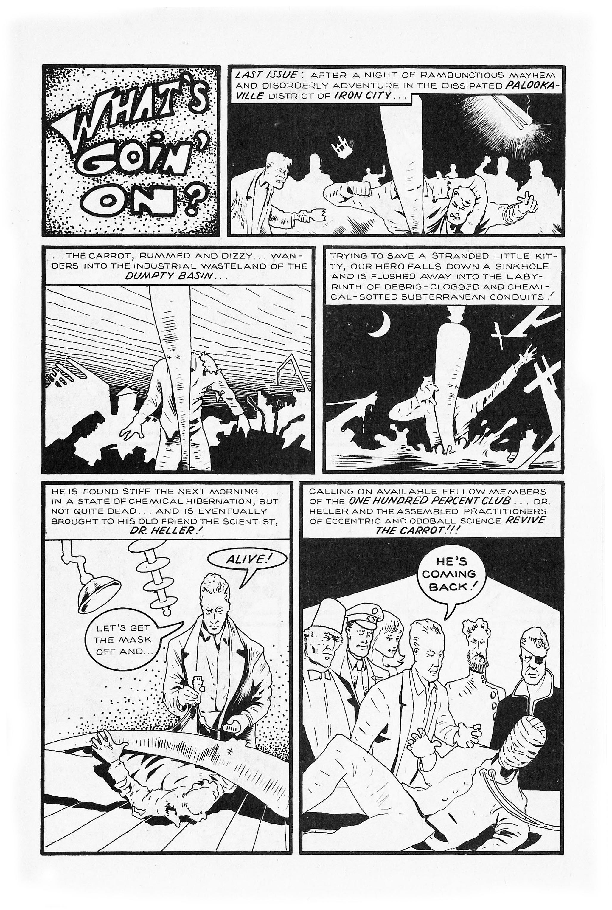 Read online Flaming Carrot Comics (1984) comic -  Issue #8 - 5