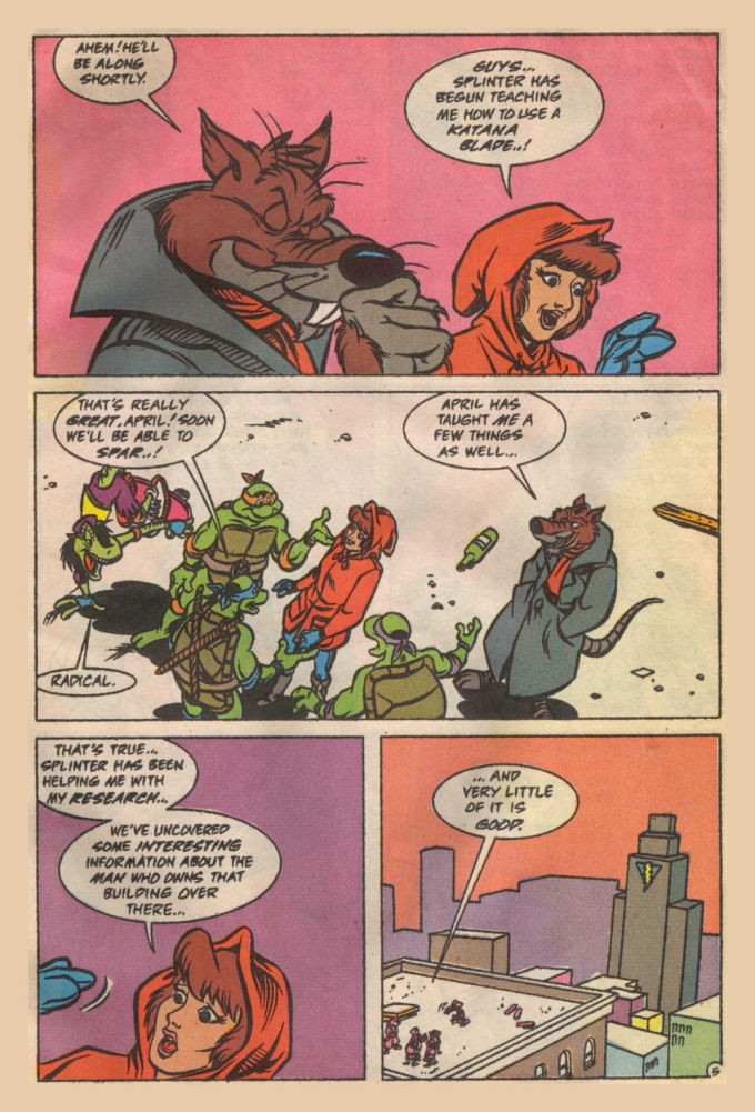 Read online Teenage Mutant Ninja Turtles Adventures (1989) comic -  Issue #19 - 6