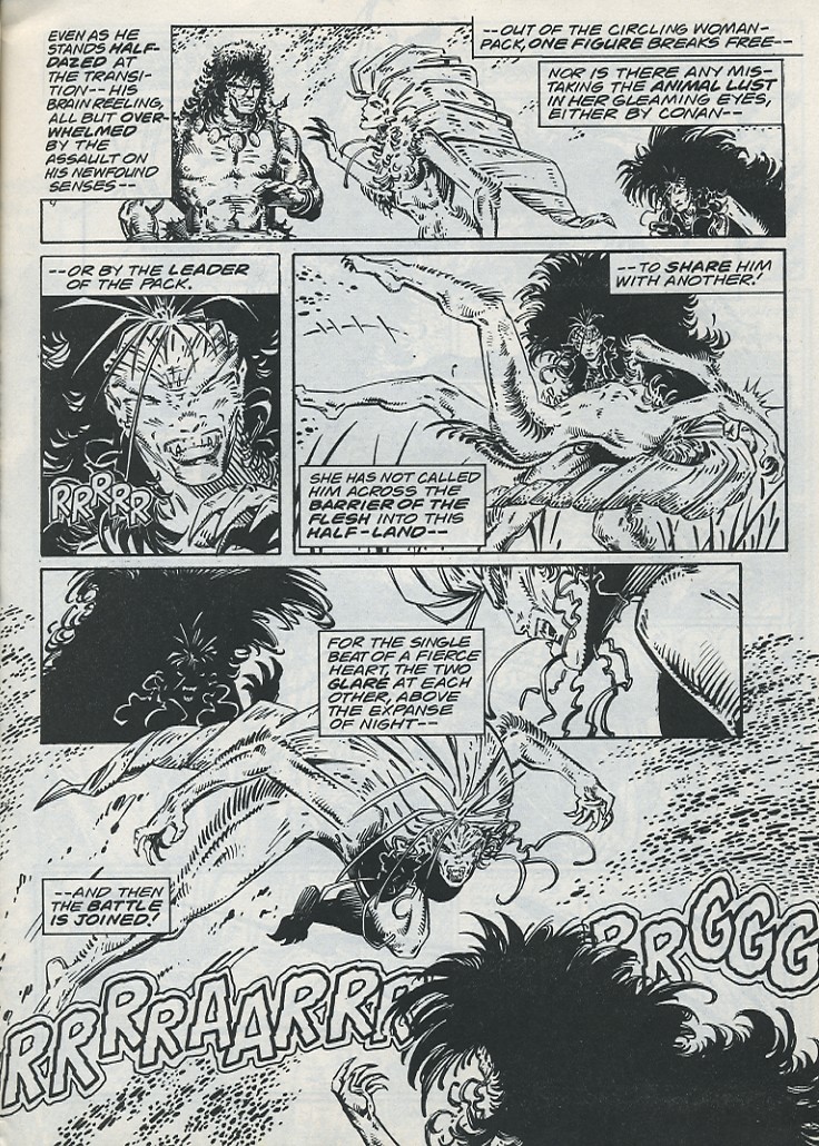 Read online The Savage Sword Of Conan comic -  Issue #221 - 17