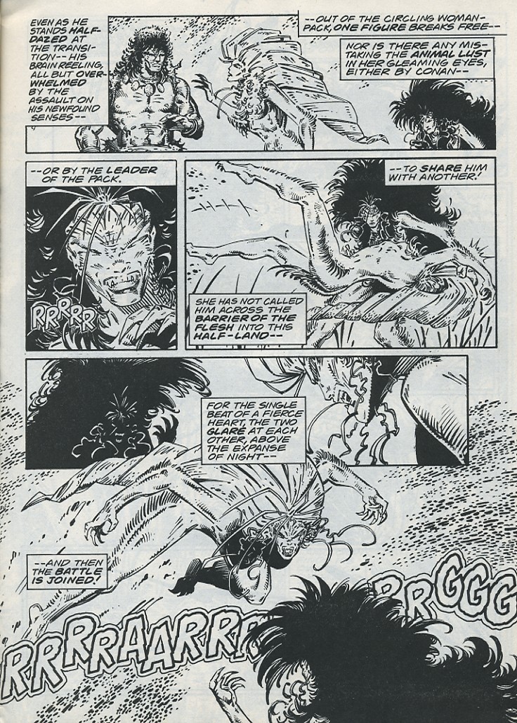 The Savage Sword Of Conan issue 221 - Page 17